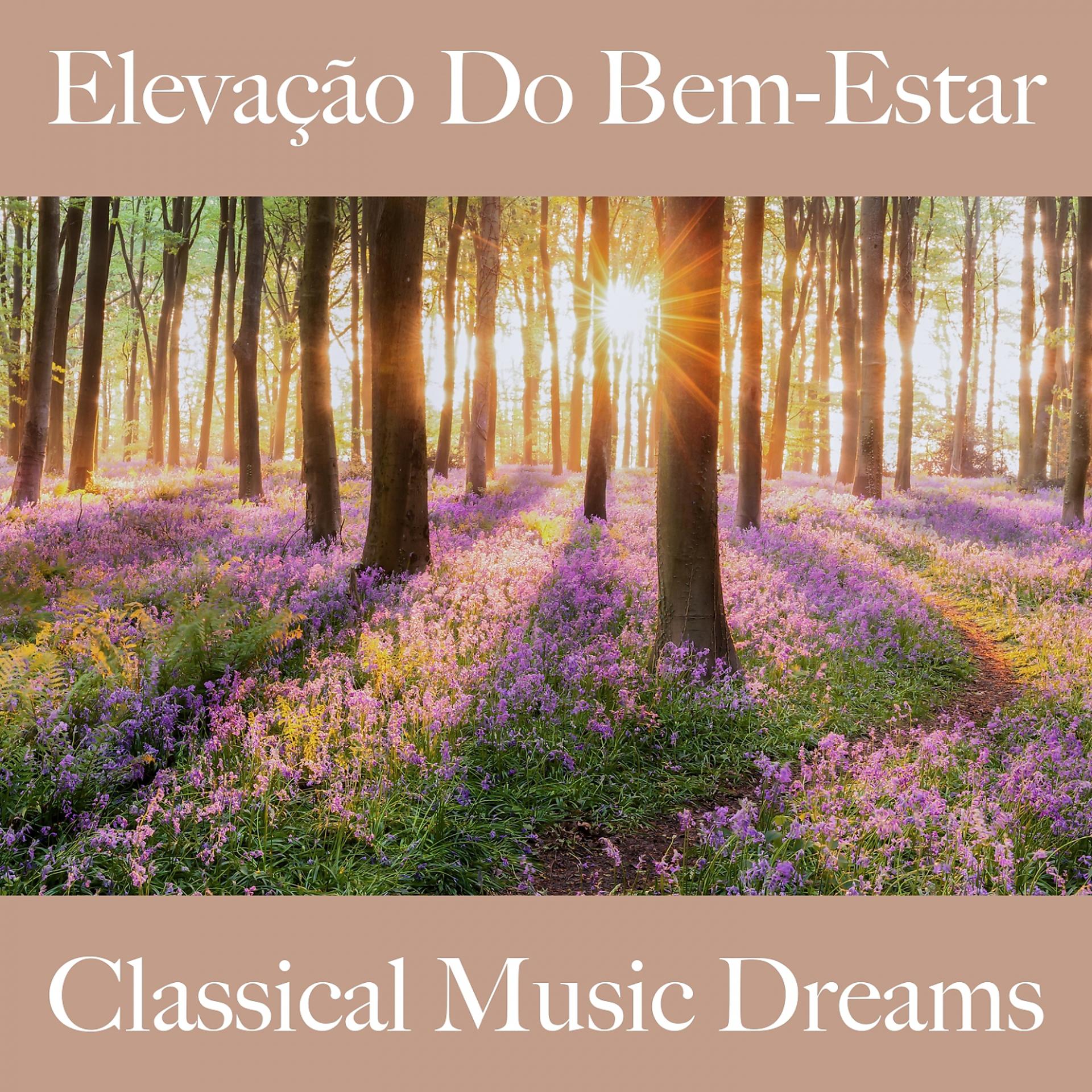Постер альбома Elevação Do Bem-Estar: Classical Music Dreams - A Melhor Música Para Relaxar
