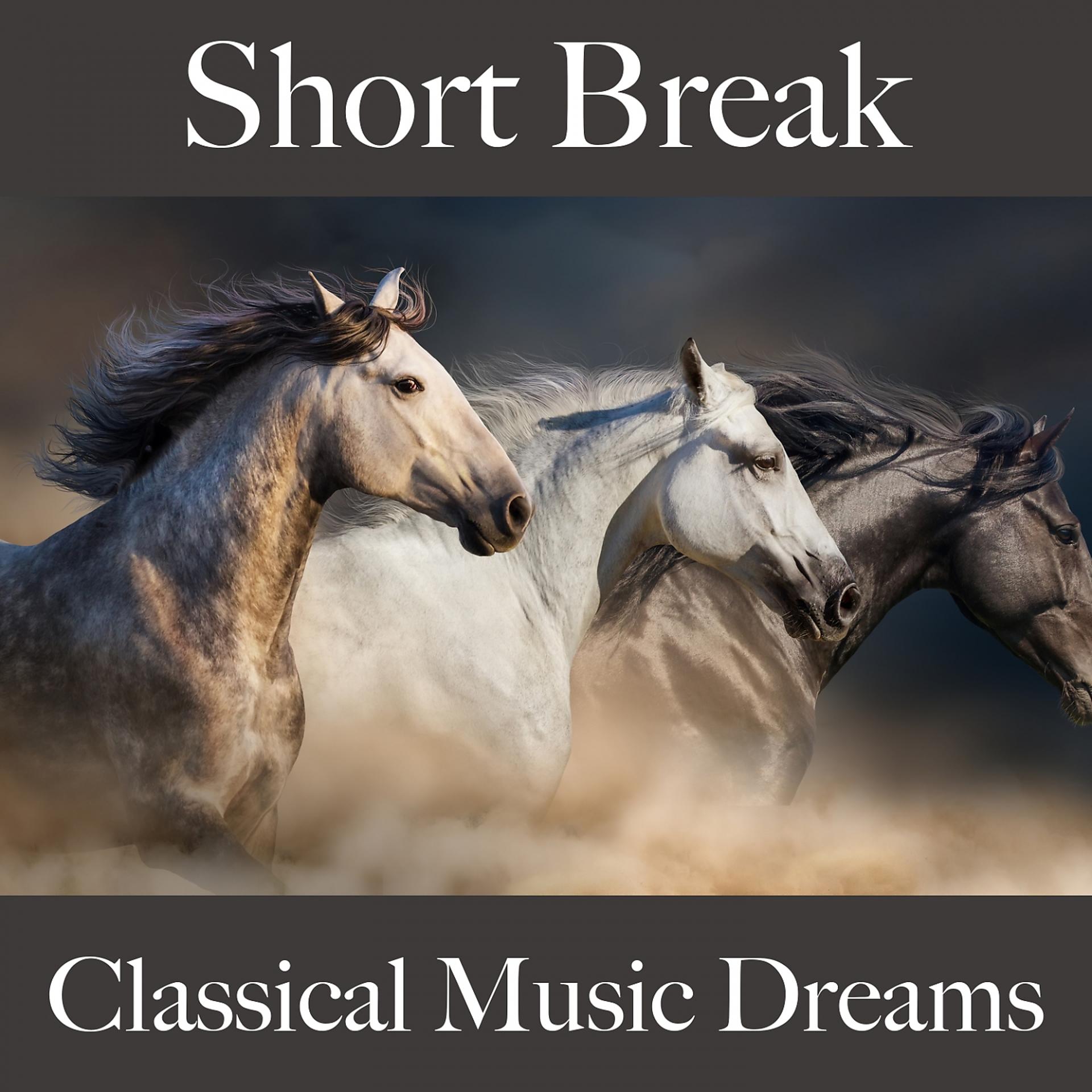 Постер альбома Short Break: Classical Music Dreams - The Best Music For Relaxation