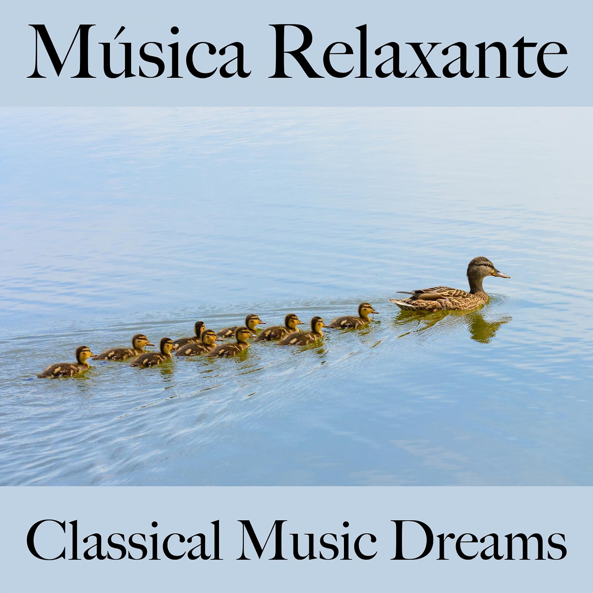 Постер альбома Música Relaxante: Classical Music Dreams - A Melhor Música Para Relaxar