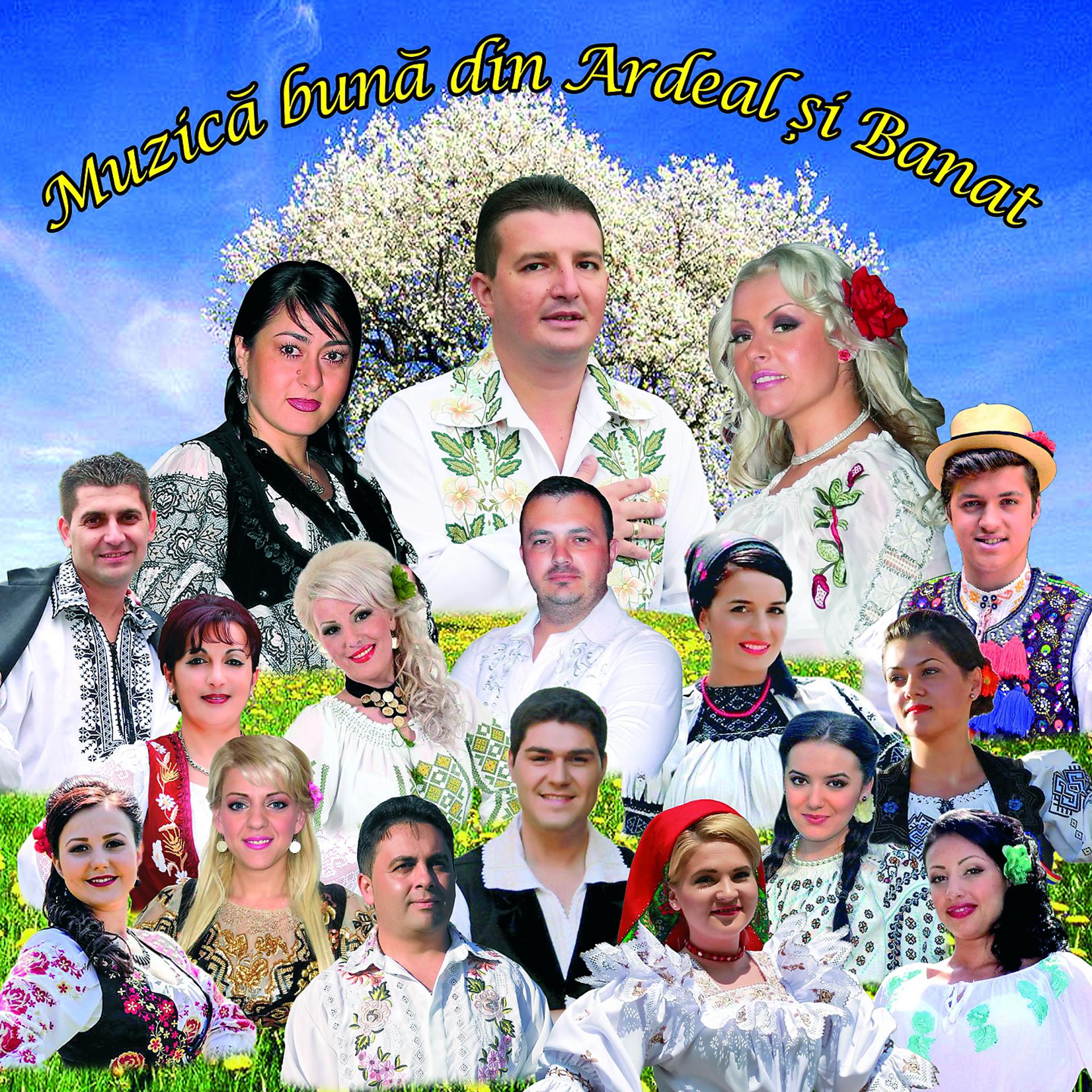 Постер альбома Muzică Bună Din Ardeal Și Banat