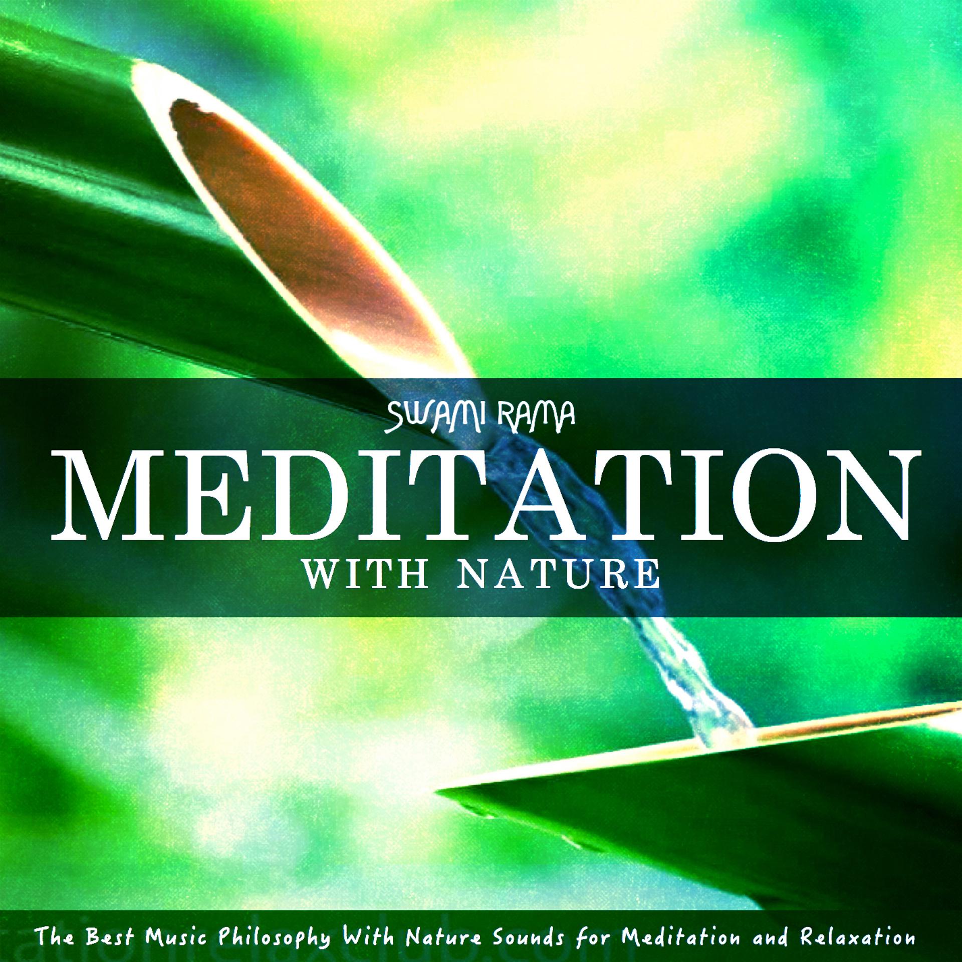Постер альбома Meditation with Nature