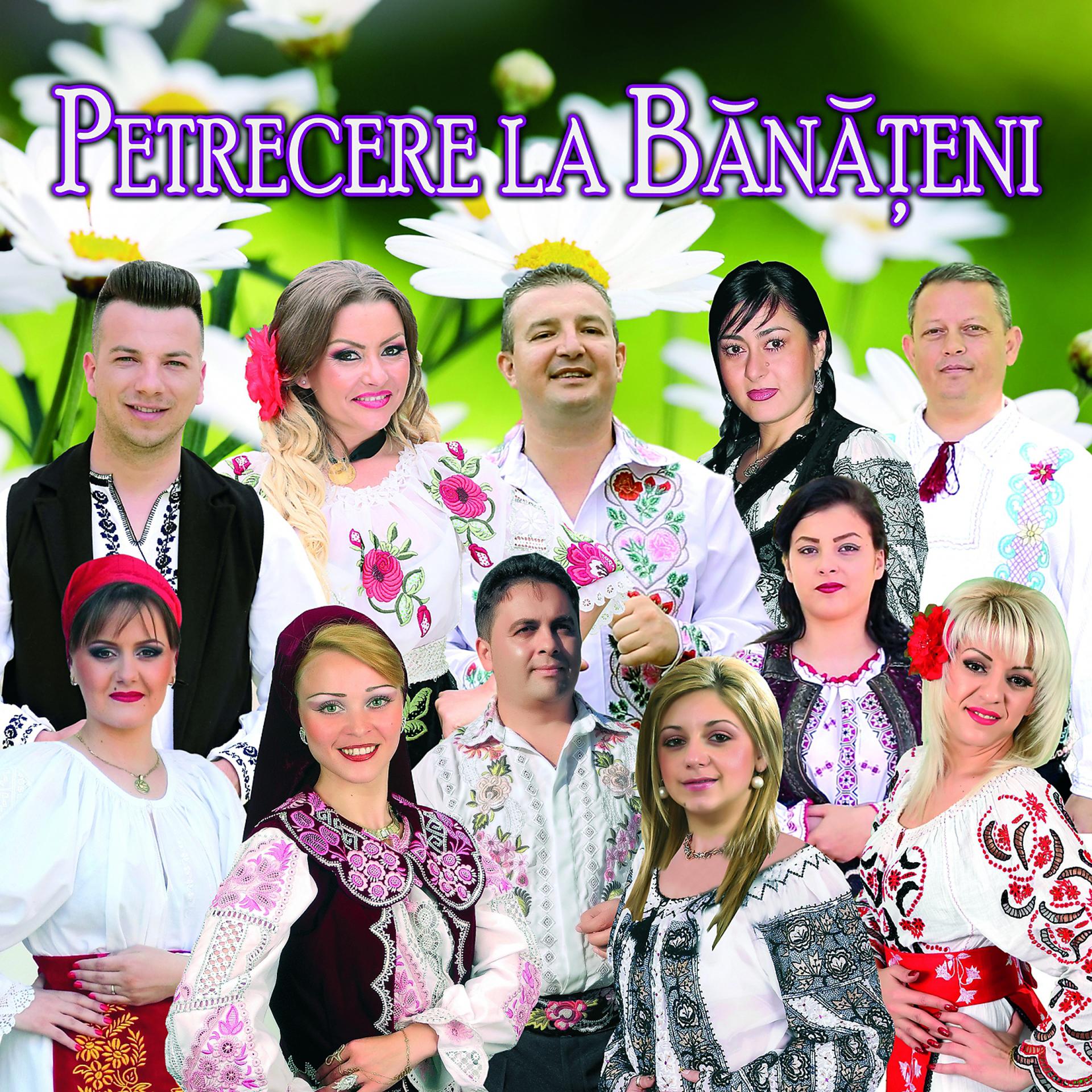 Постер альбома Petrecere La Bănățeni