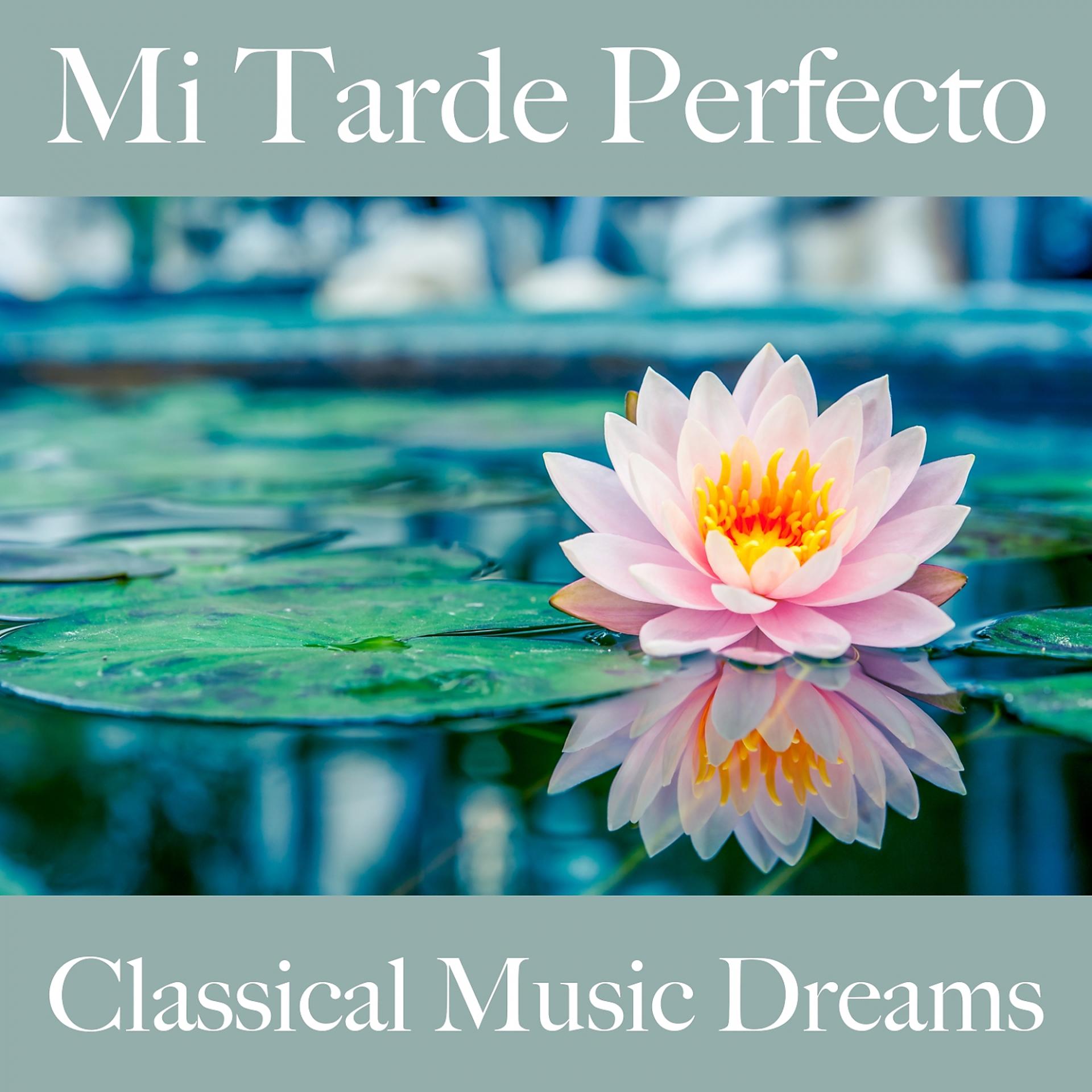 Постер альбома Mi Tarde Perfecto: Classical Music Dreams - La Mejor Música Para Relajarse