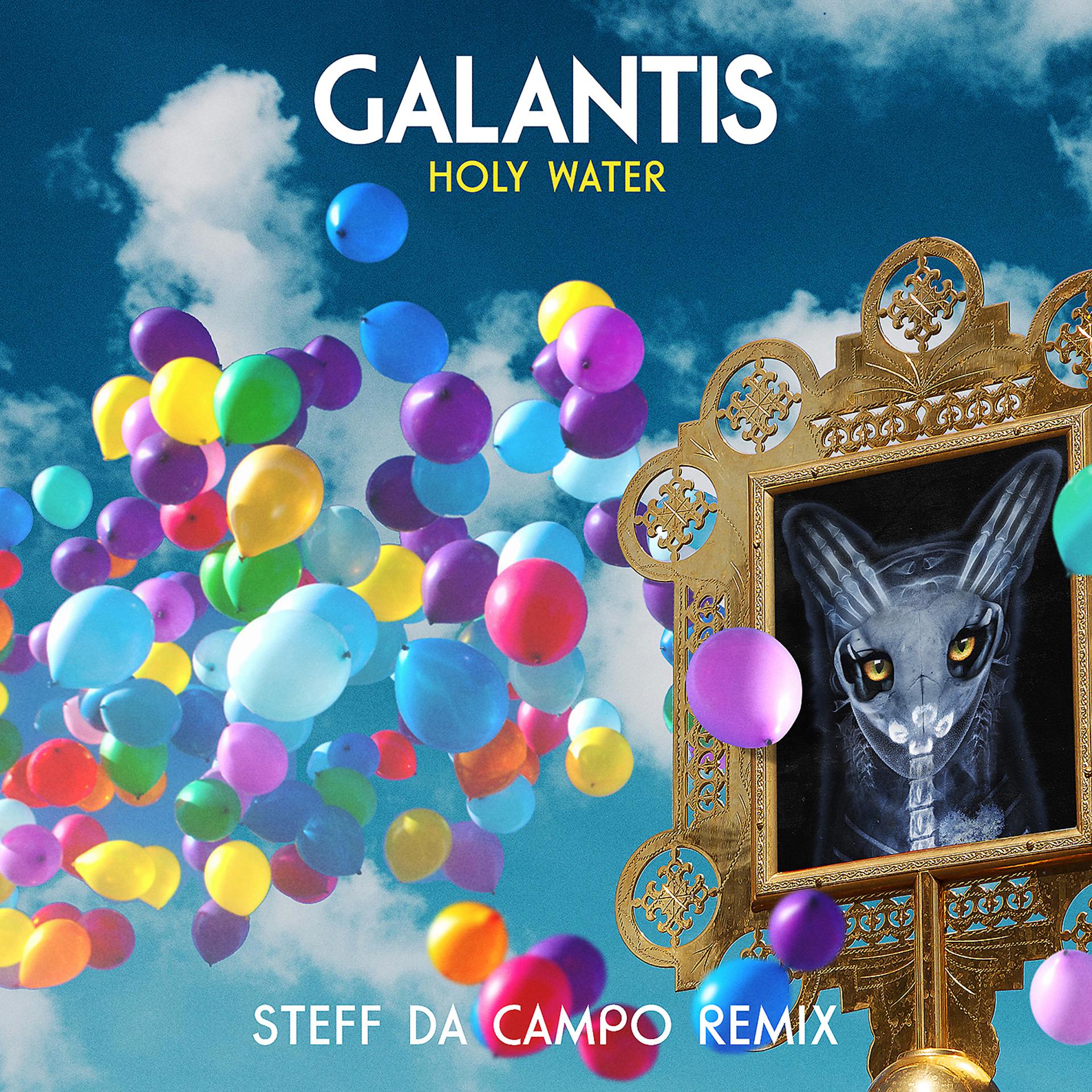 Постер альбома Holy Water (Steff da Campo Remix)