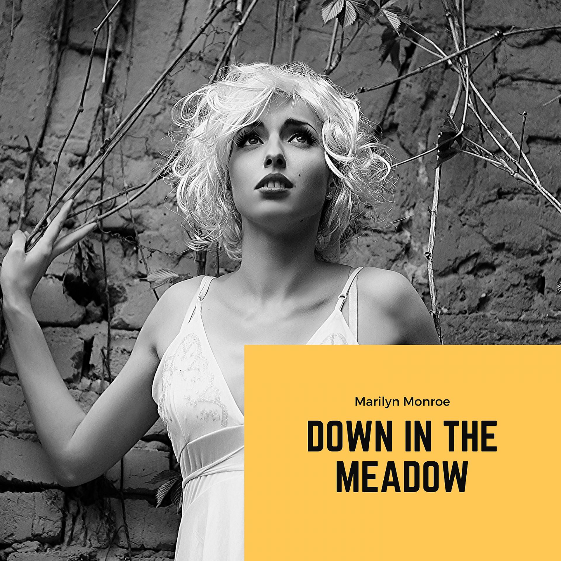 Постер альбома Down in the Meadow