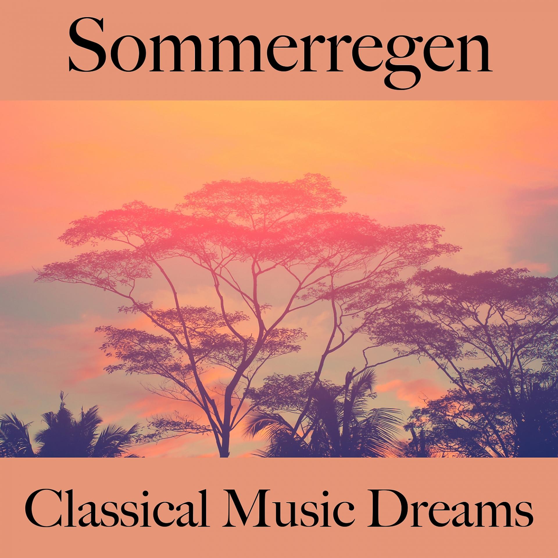 Постер альбома Sommerregen: Classical Music Dreams - Die Beste Musik Zum Entspannen
