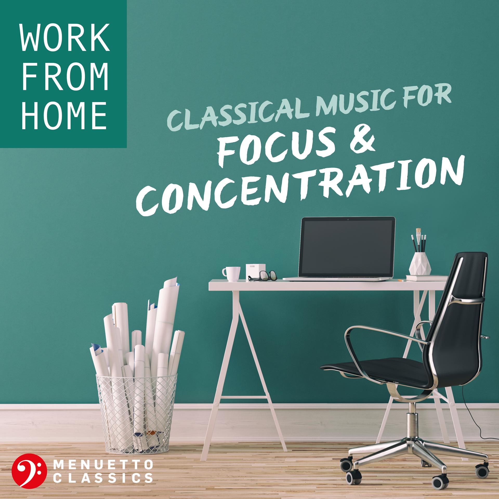 Постер альбома Work From Home: Classical Music for Focus & Concentration