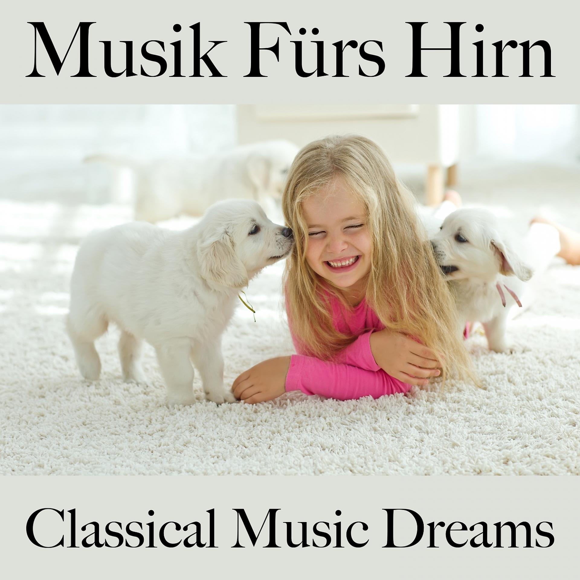Постер альбома Musik Fürs Hirn: Classical Music Dreams - Die Beste Musik Zum Entspannen