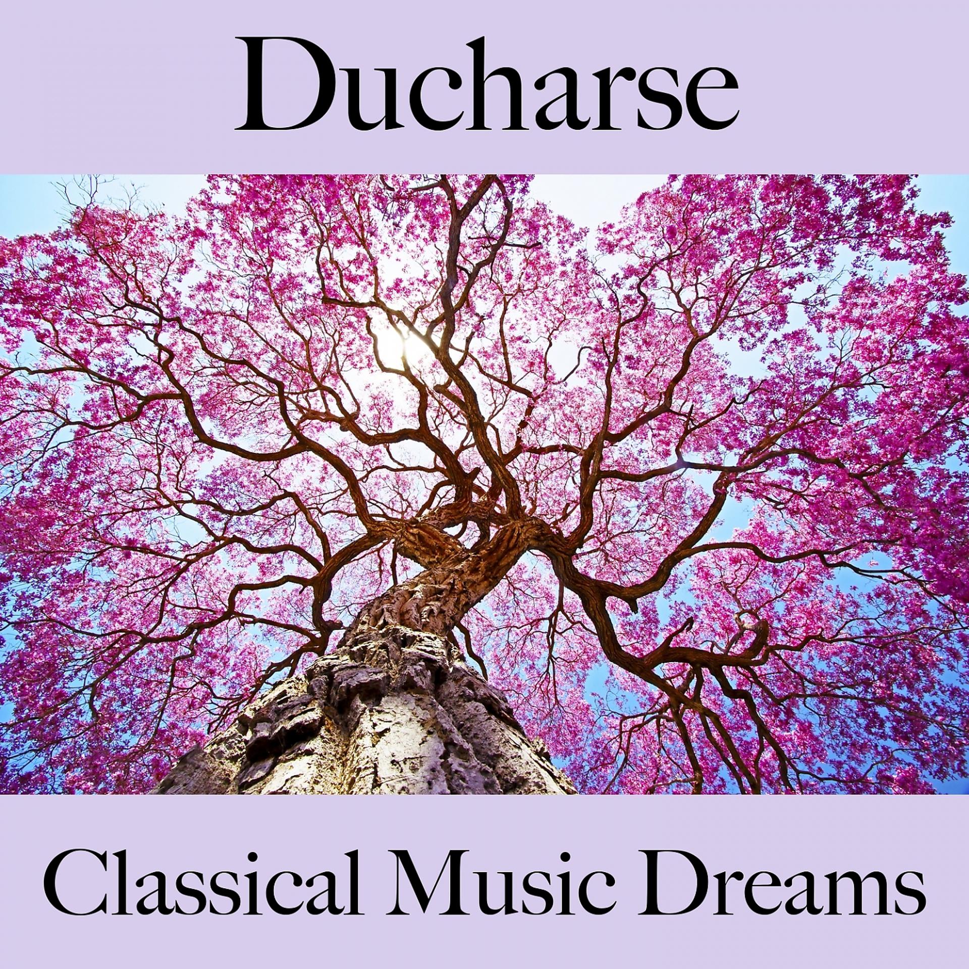 Постер альбома Ducharse: Classical Music Dreams - Los Mejores Sonidos Para Descansarse