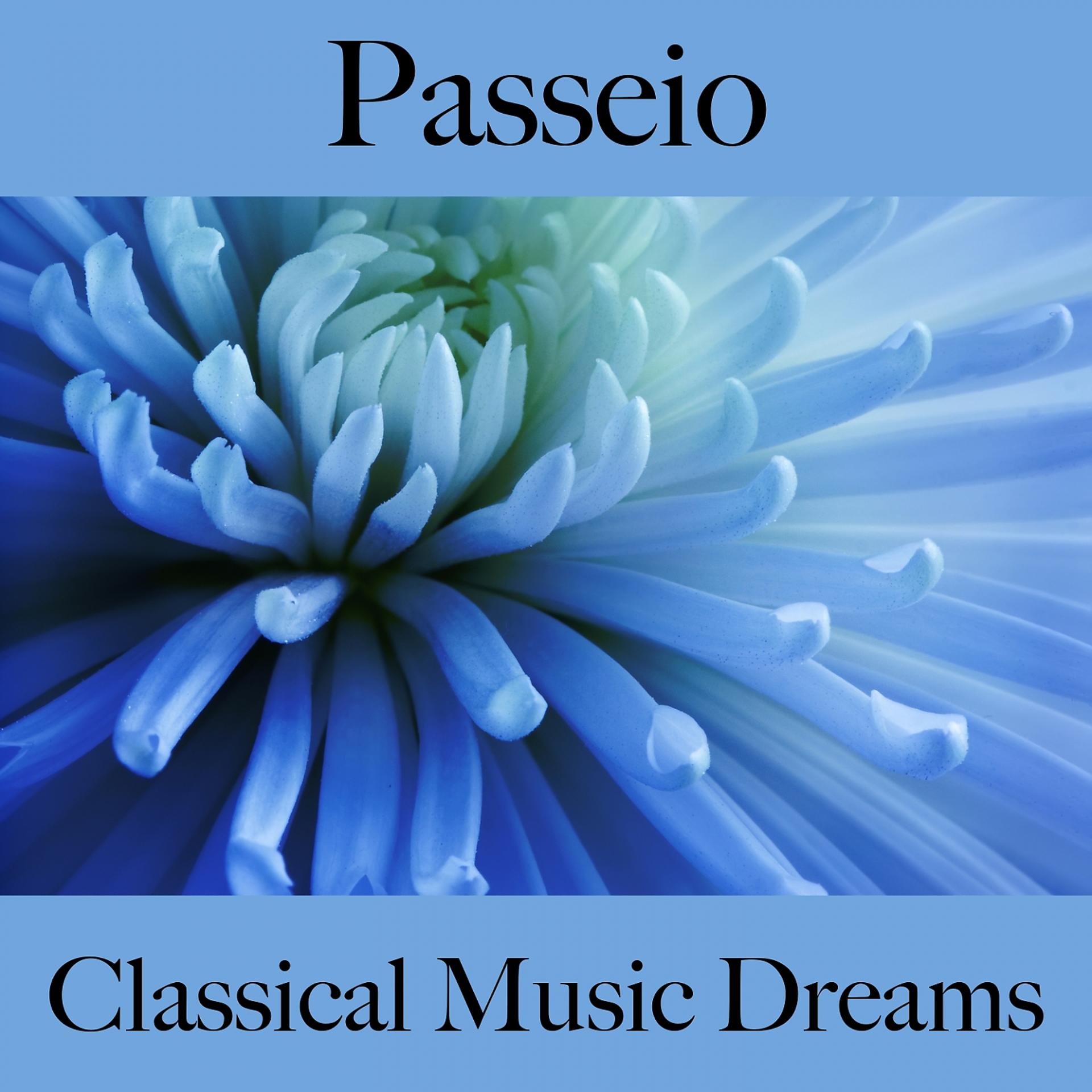 Постер альбома Passeio: Classical Music Dreams - Os Melhores Sons Para Malhar