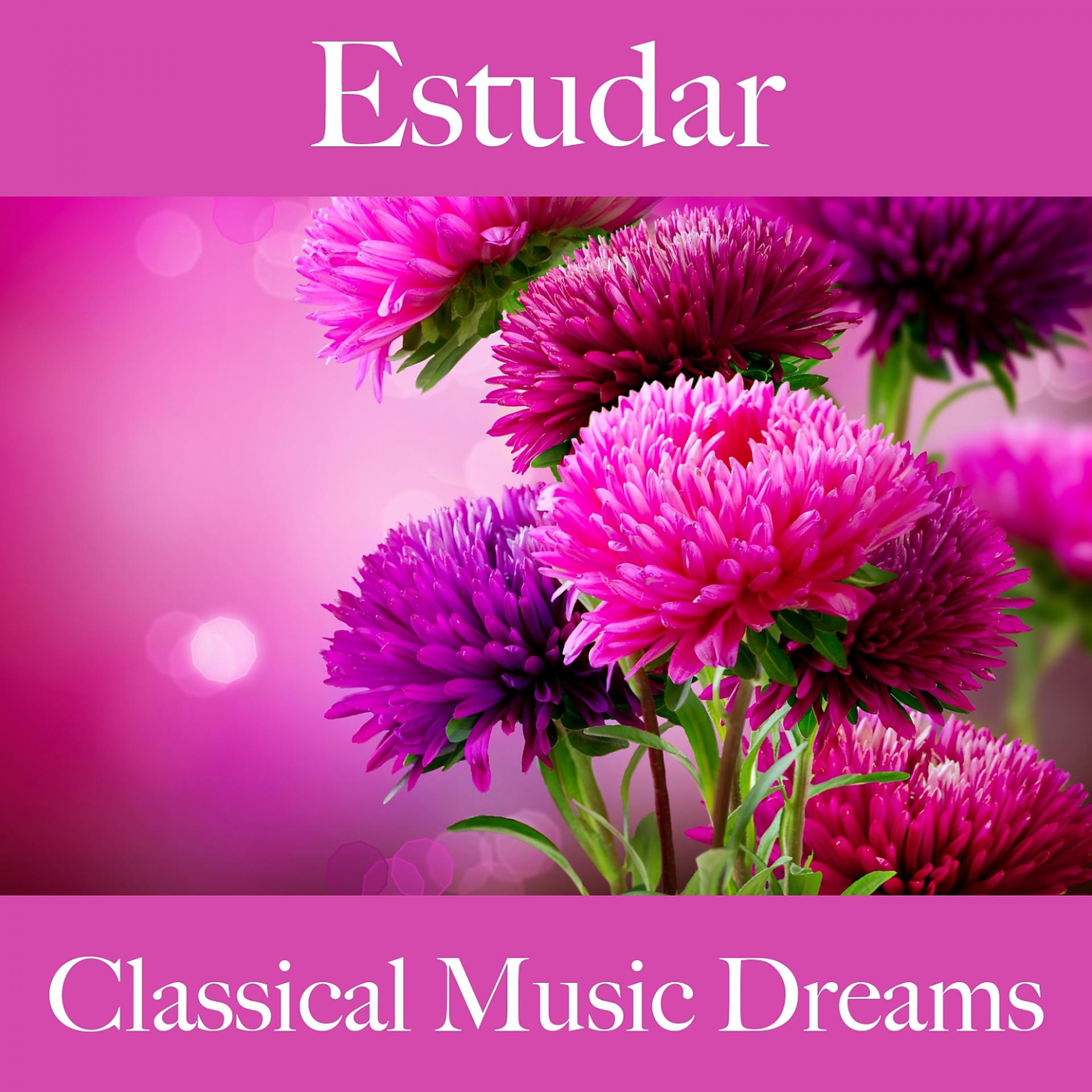 Постер альбома Estudar: Classical Music Dreams - A Melhor Música Para Relaxar