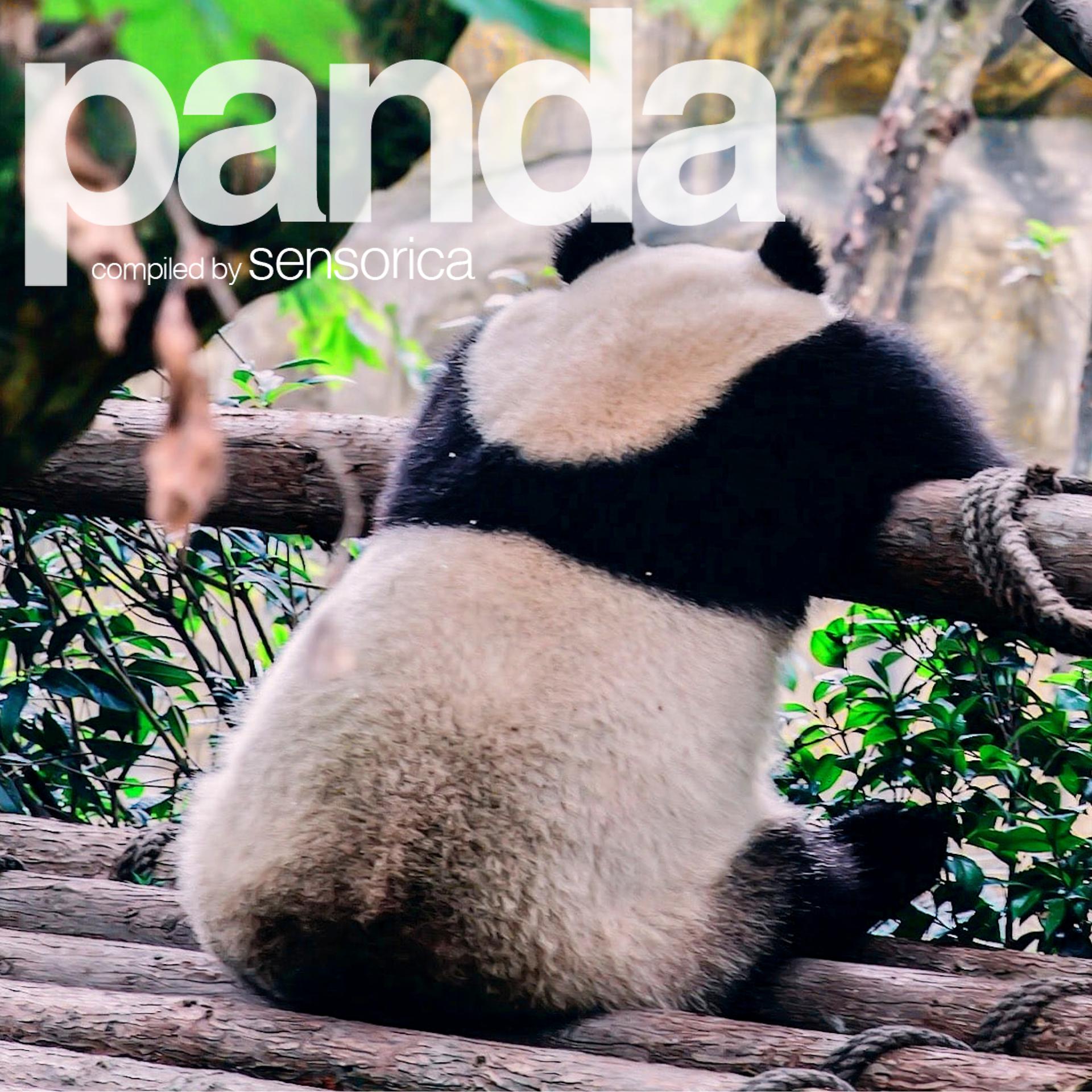 Постер альбома Panda, Vol. 2 (Compiled by Sensorica)