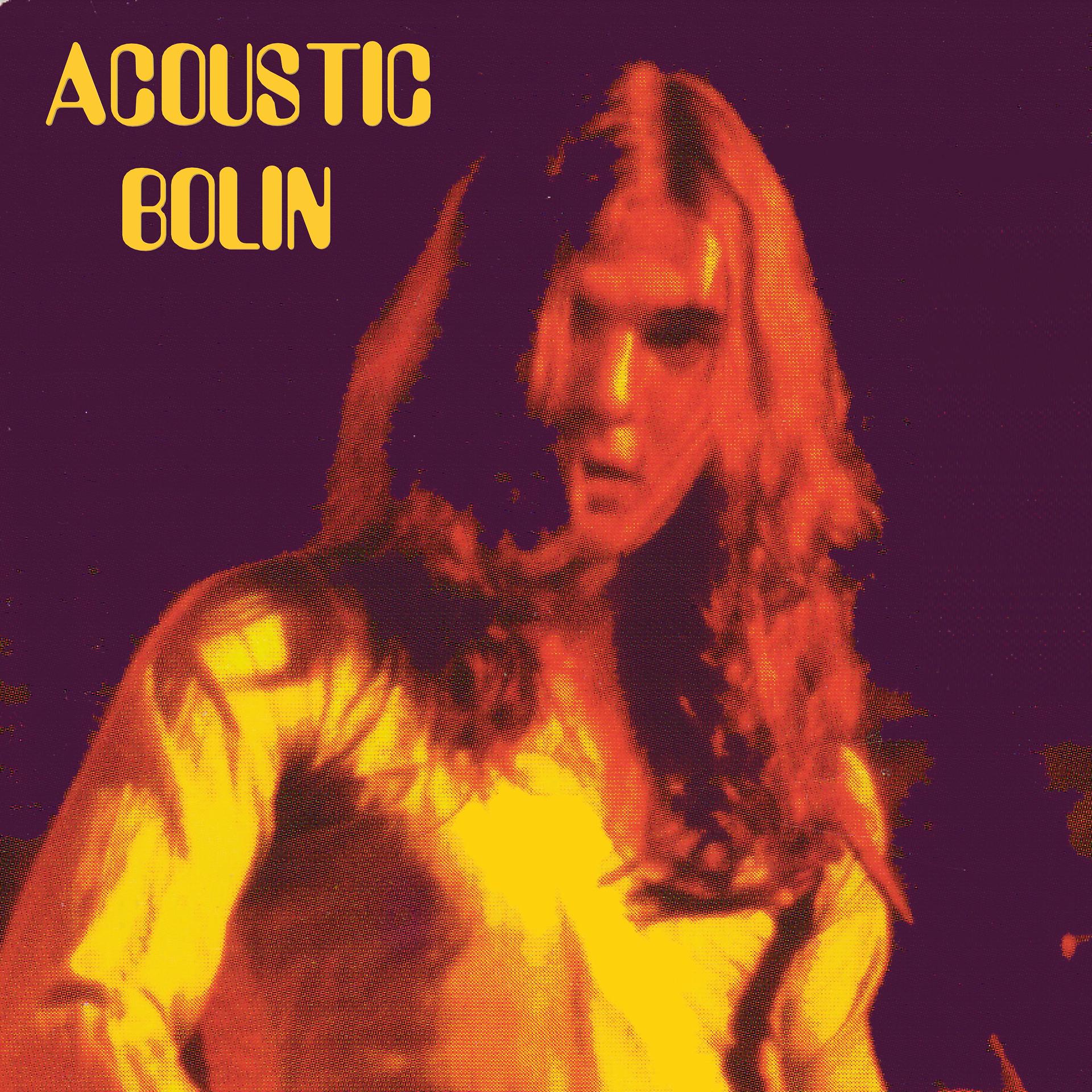 Постер альбома Acoustic Bolin
