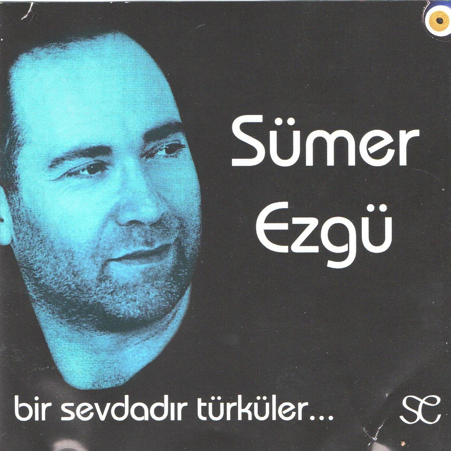 Постер альбома Bir Sevdadır Türküler