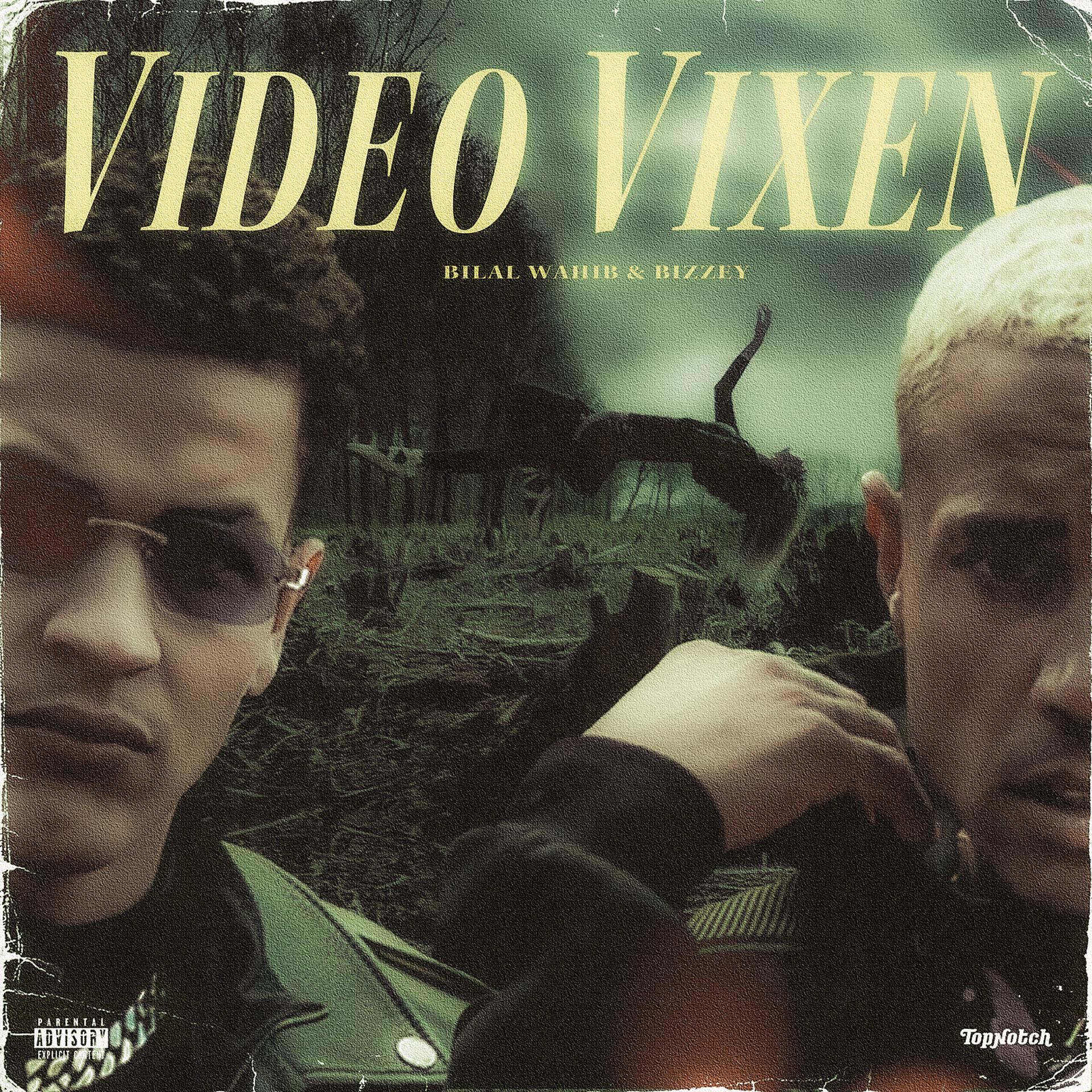 Постер альбома Video Vixen