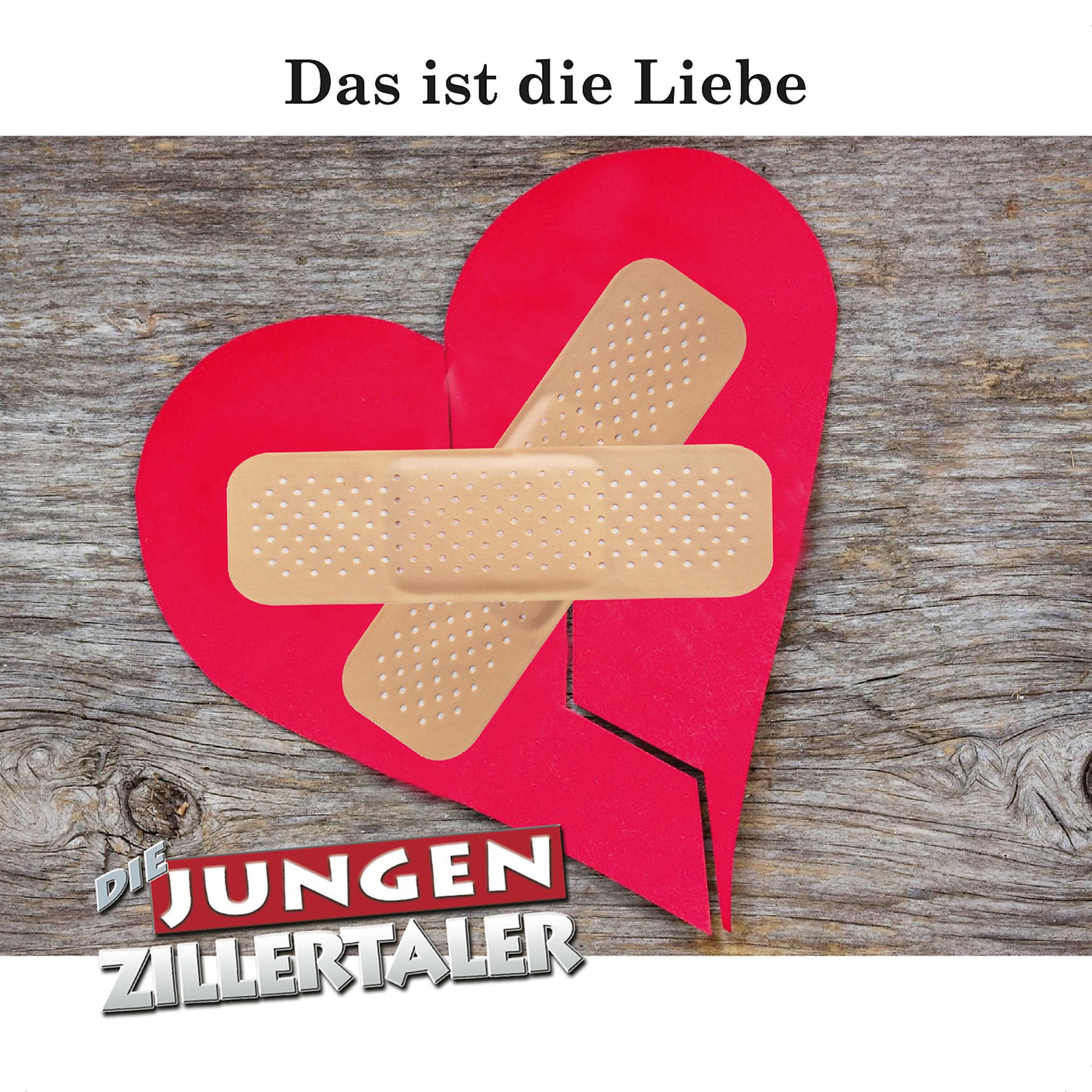 Постер альбома Das ist die Liebe