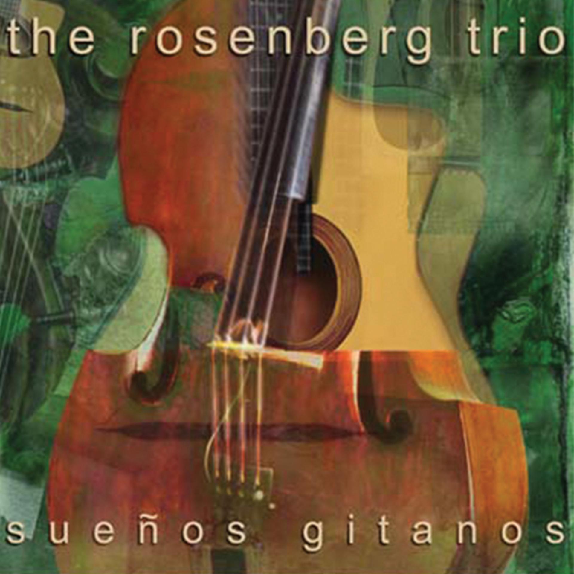 Постер альбома Suenos Gitanos