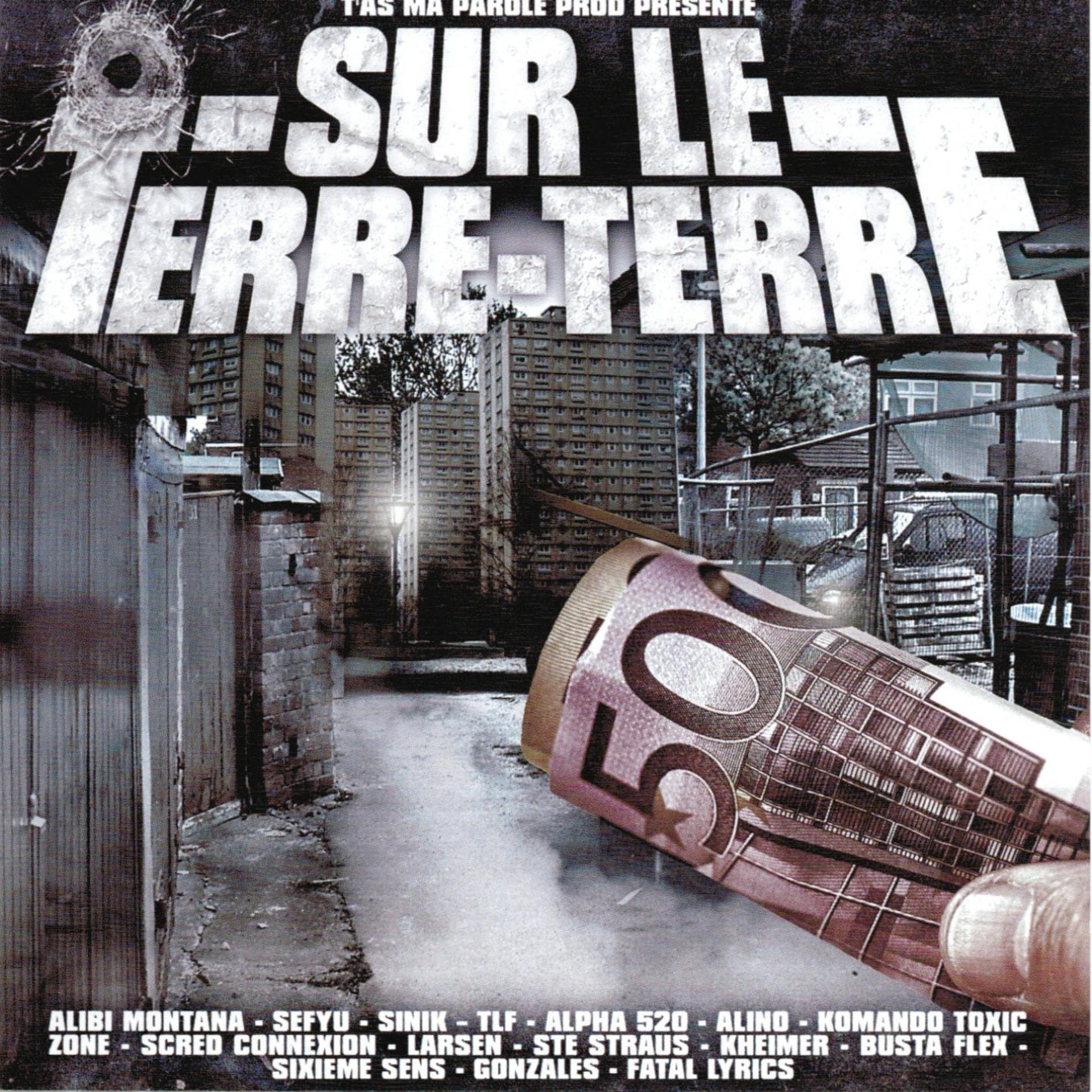 Постер альбома Sur le terre terre