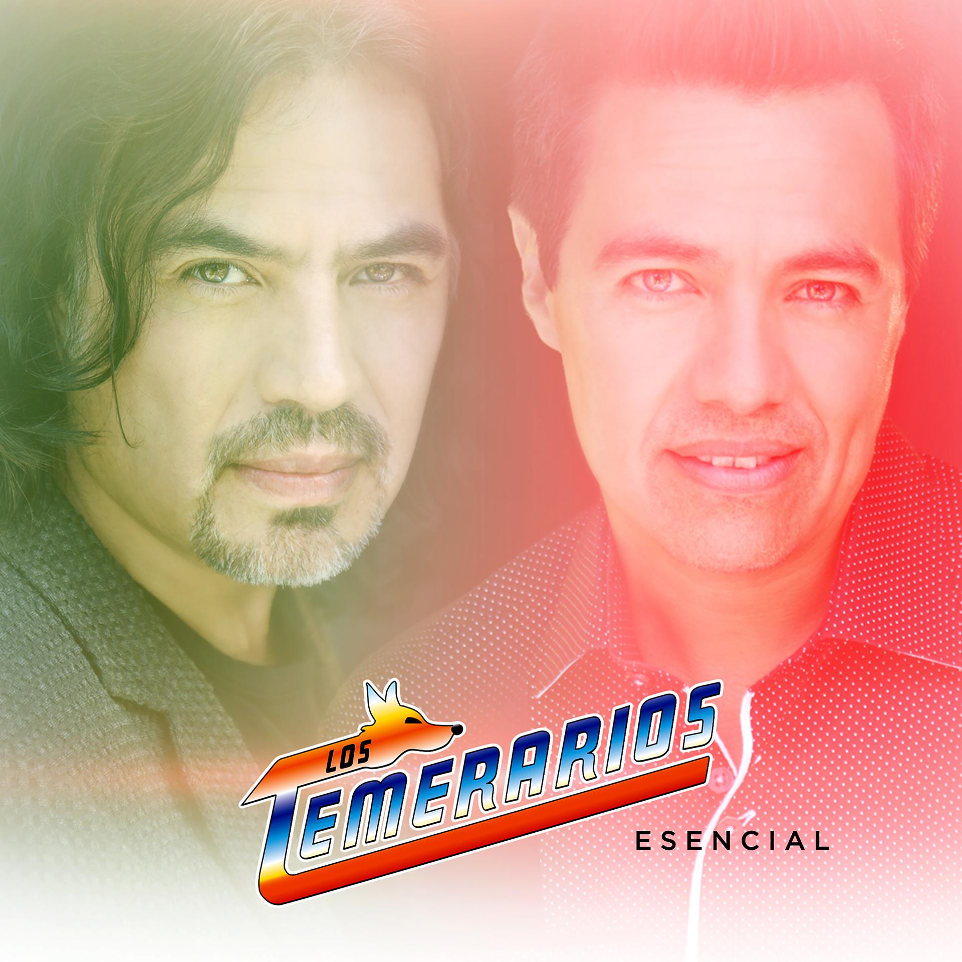 Постер альбома Los Temerarios Esencial