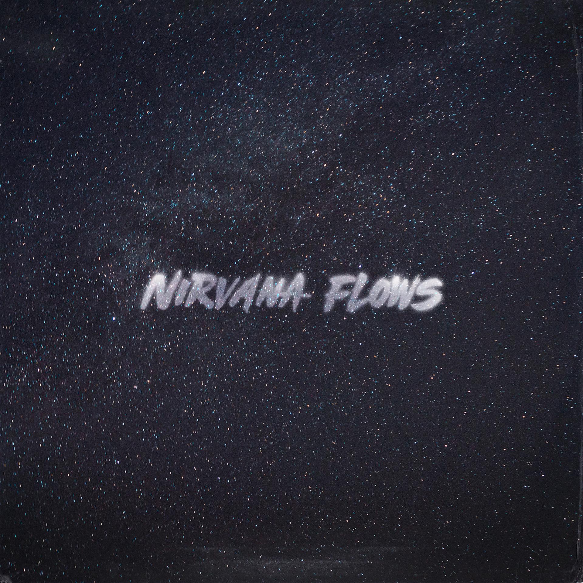 Постер альбома Nirvana Flows