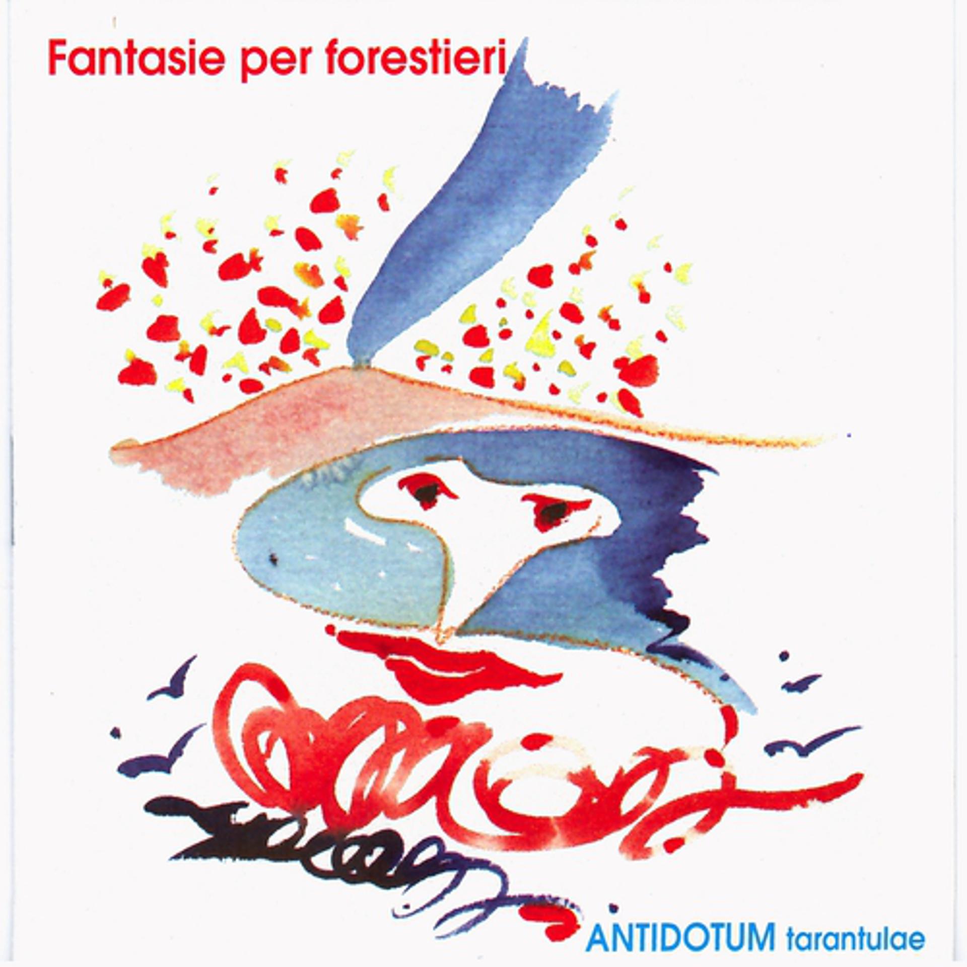 Постер альбома Fantasie per forestieri