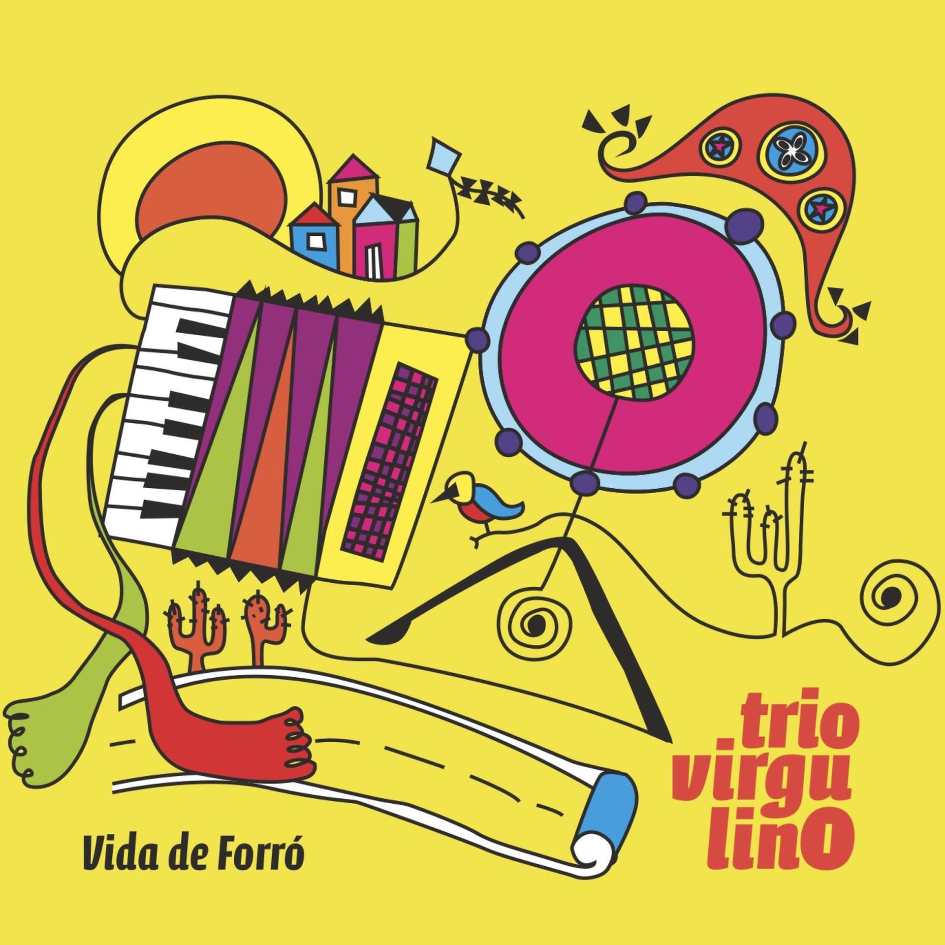 Постер альбома Vida de Forró