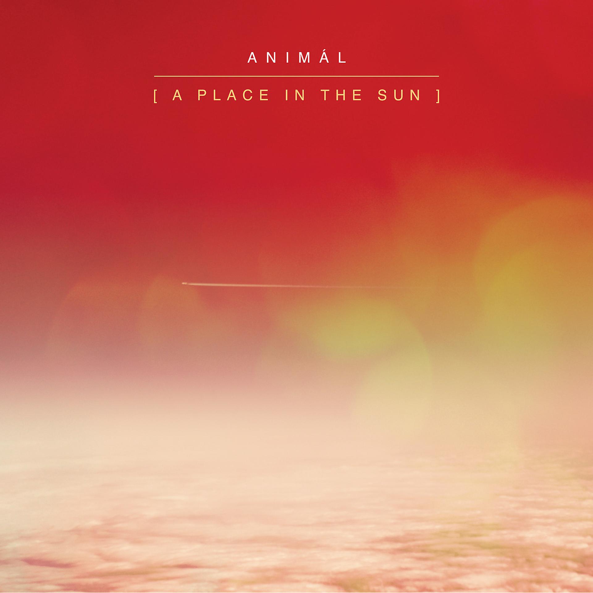 Постер альбома A Place in the Sun