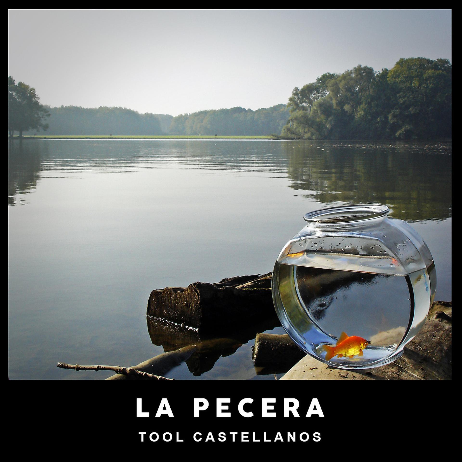 Постер альбома La Pecera