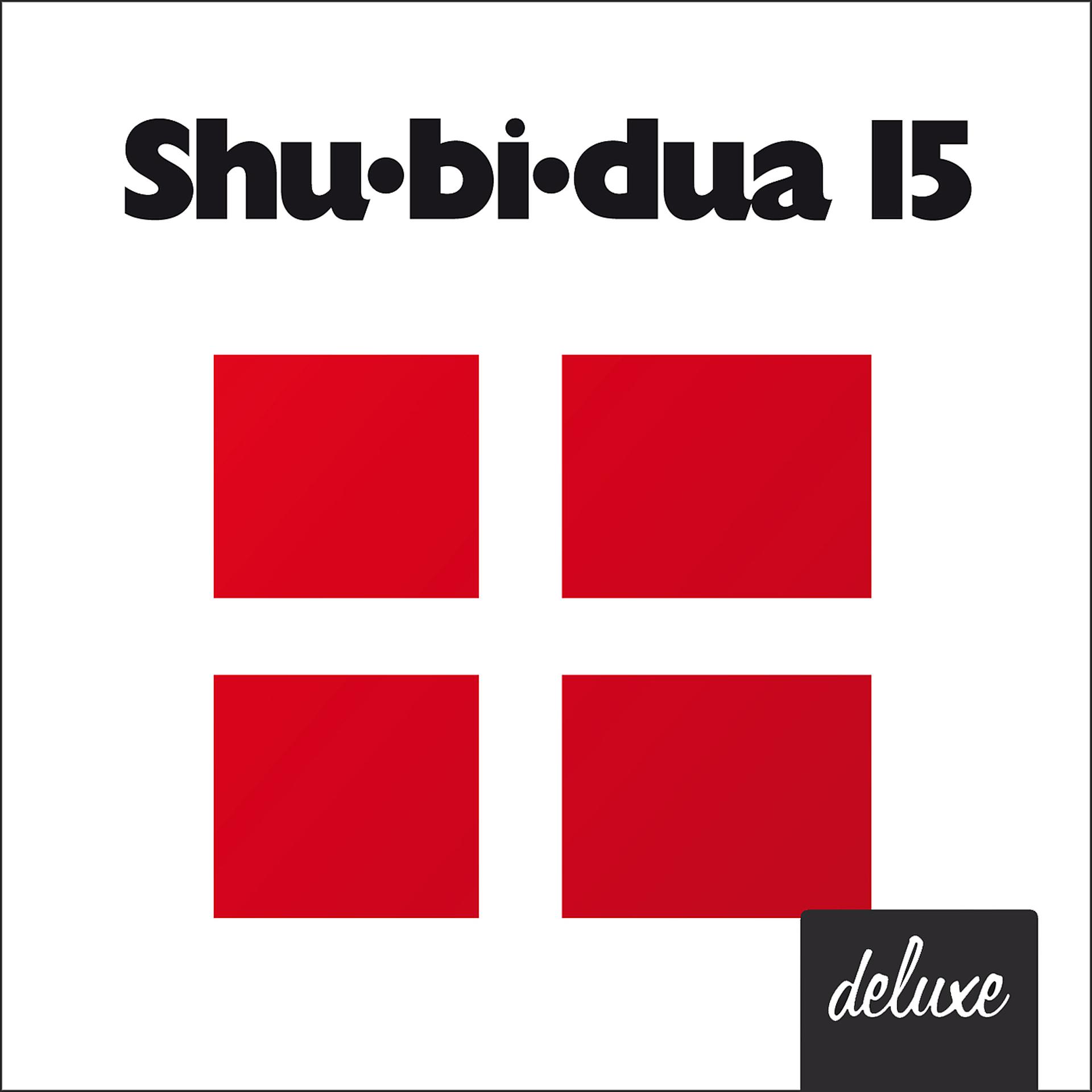 Постер альбома Shu-bi-dua 15