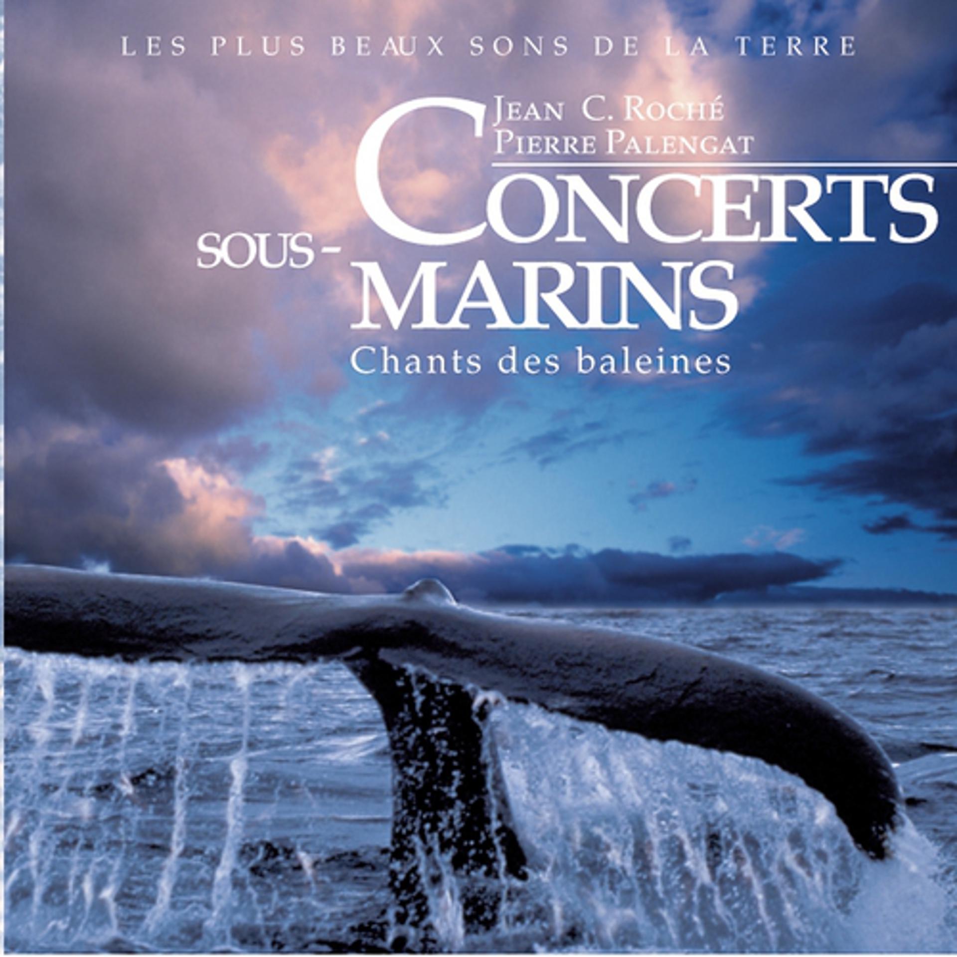 Постер альбома Concerts sous-marins