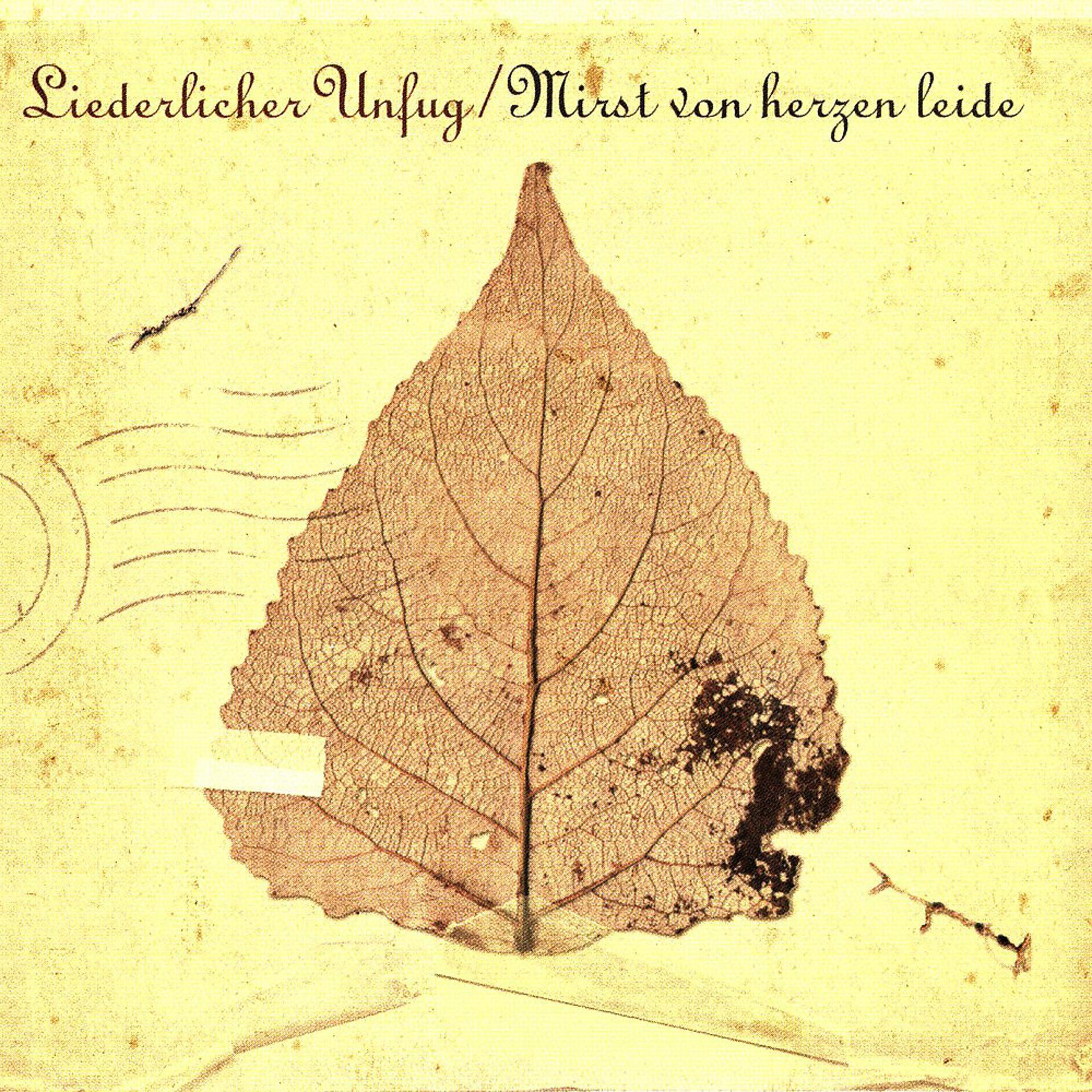 Постер альбома Mirst von herzen leide