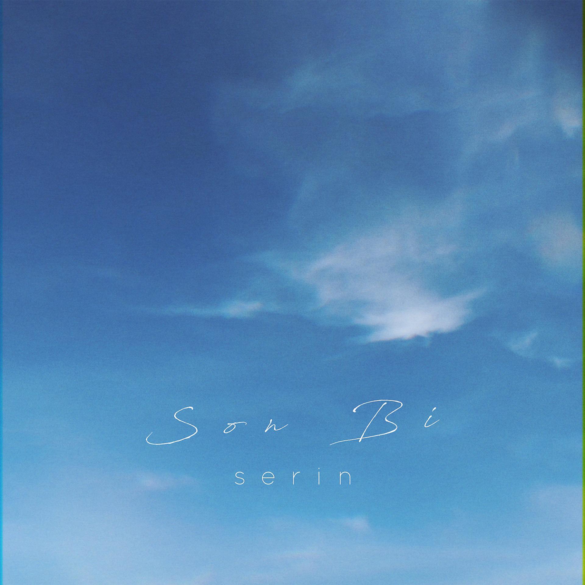 Постер альбома Son Bi