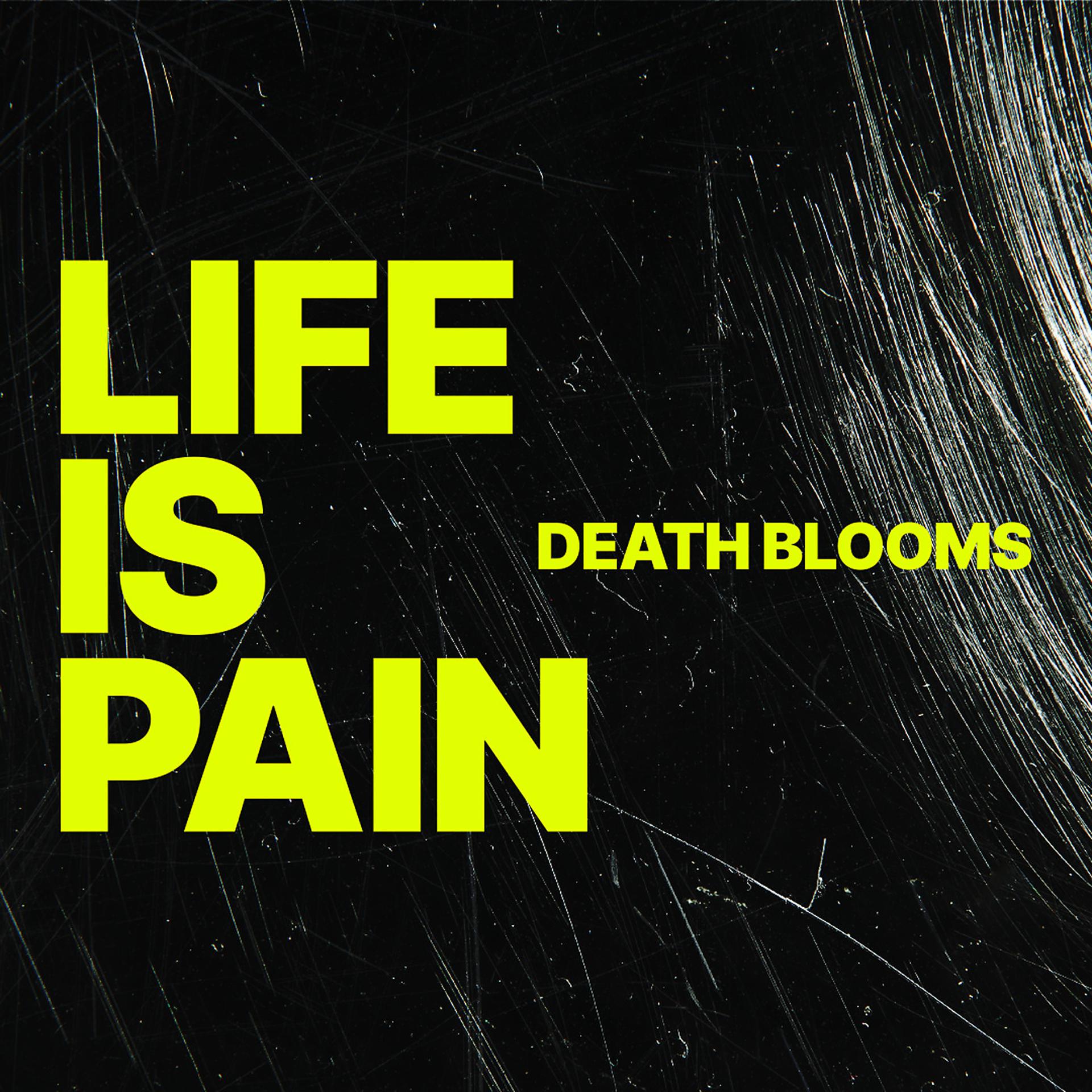 Постер альбома Life Is Pain