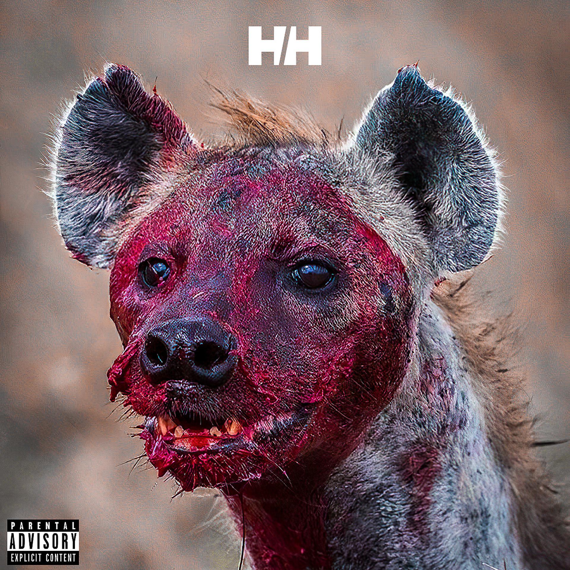 Постер альбома Holiday Hyena