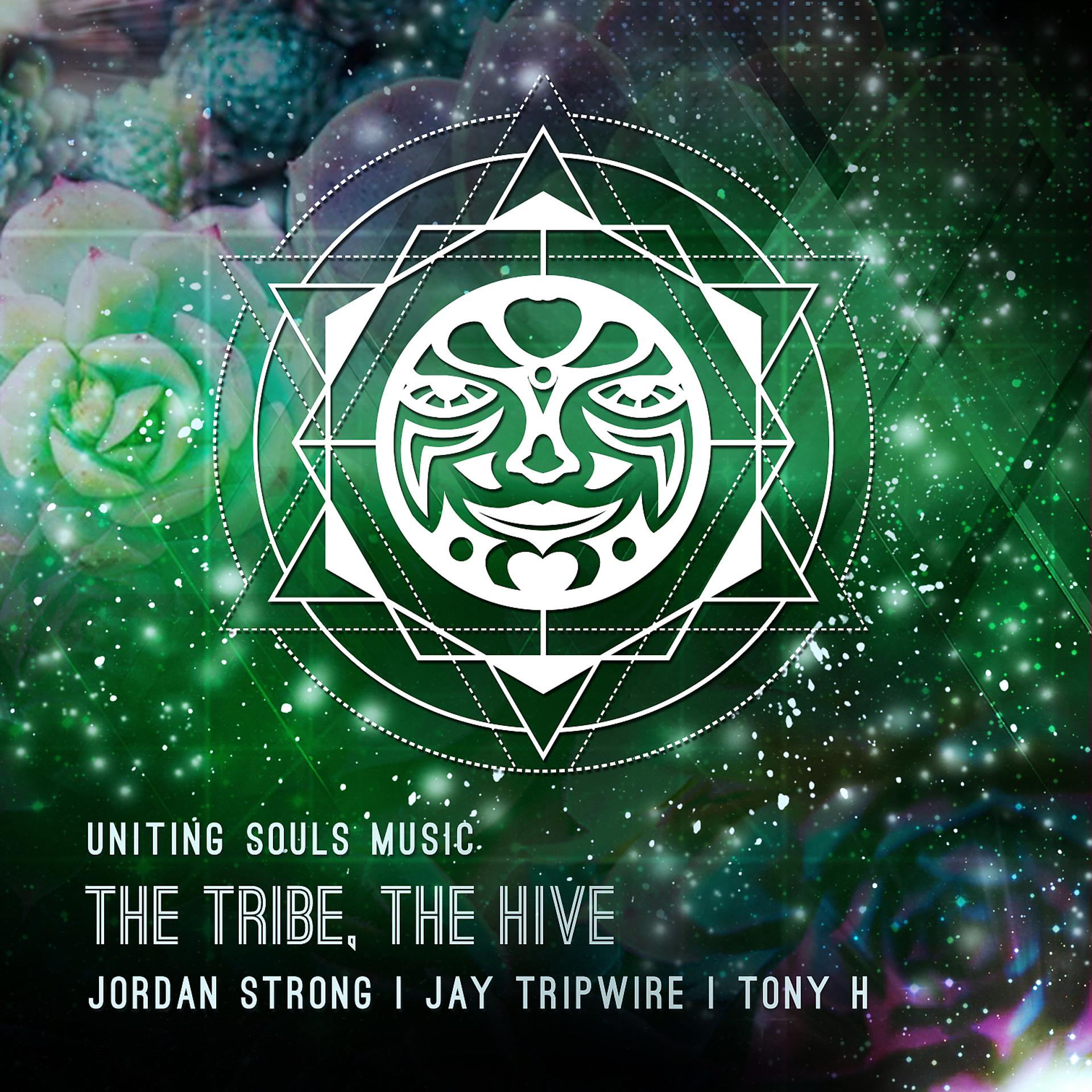 Постер альбома The Tribe, The Hive