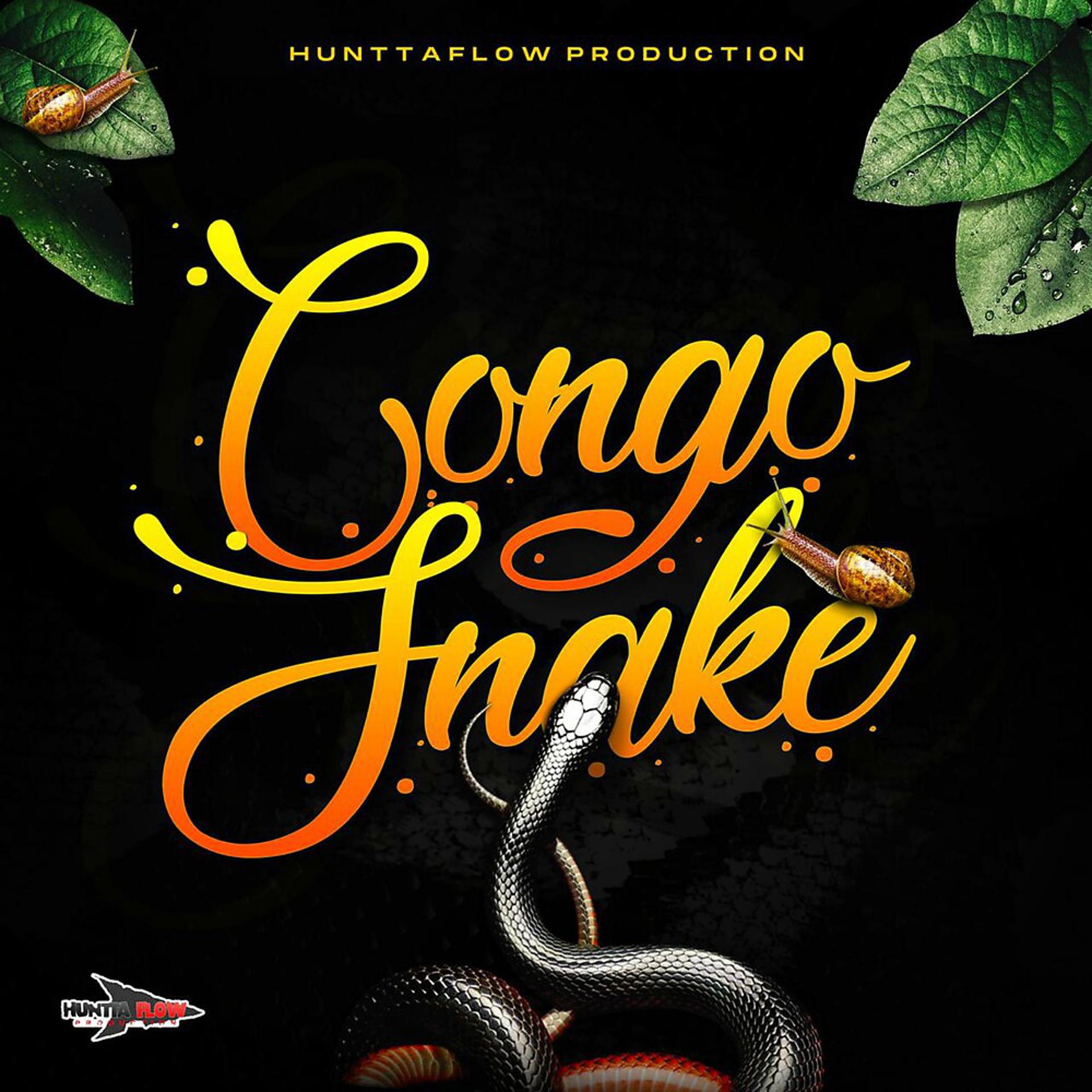Постер альбома Congo Snake