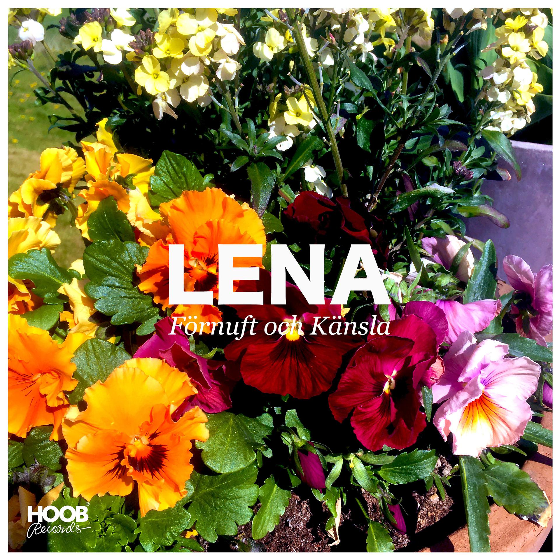 Постер альбома Lena