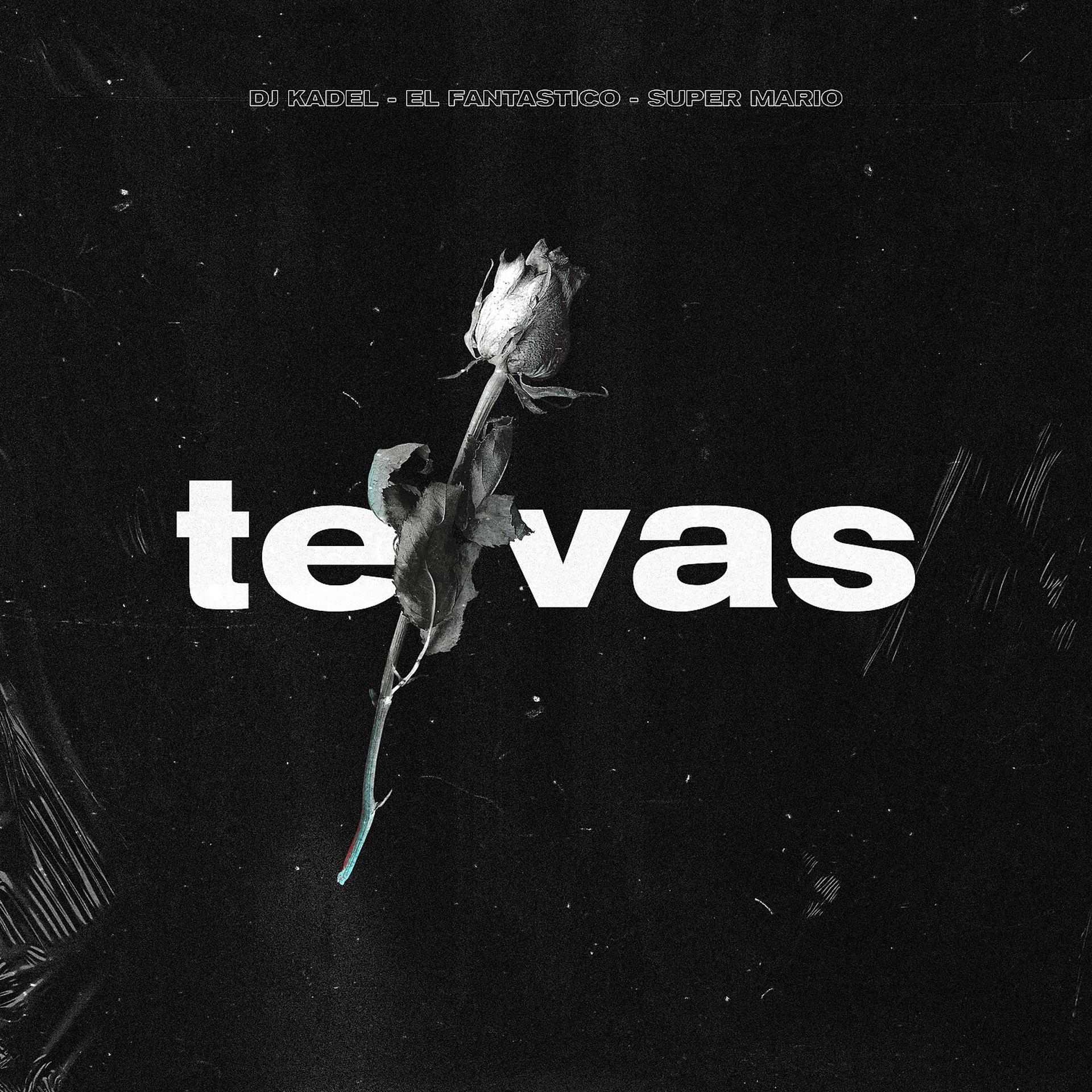 Постер альбома Te Vas