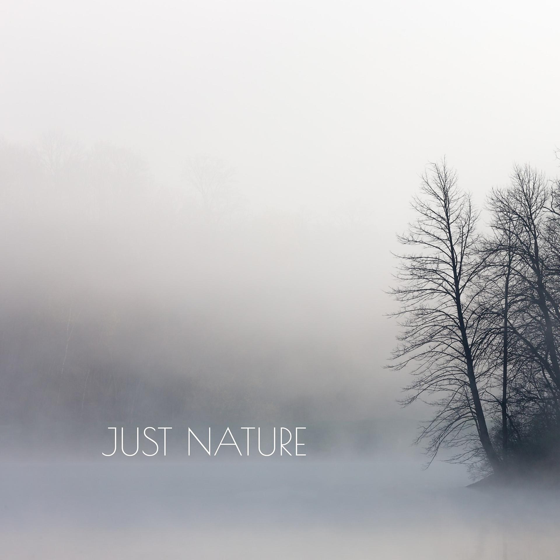 Постер альбома Just Nature