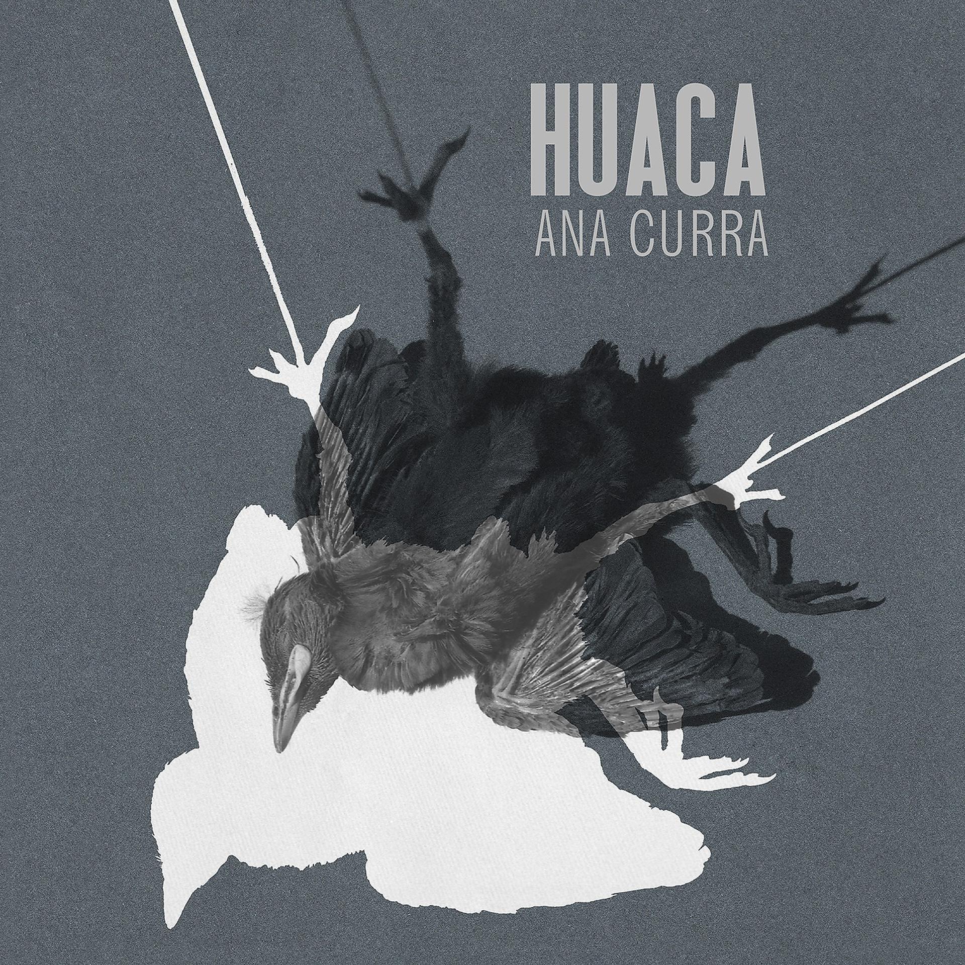Постер альбома Huaca
