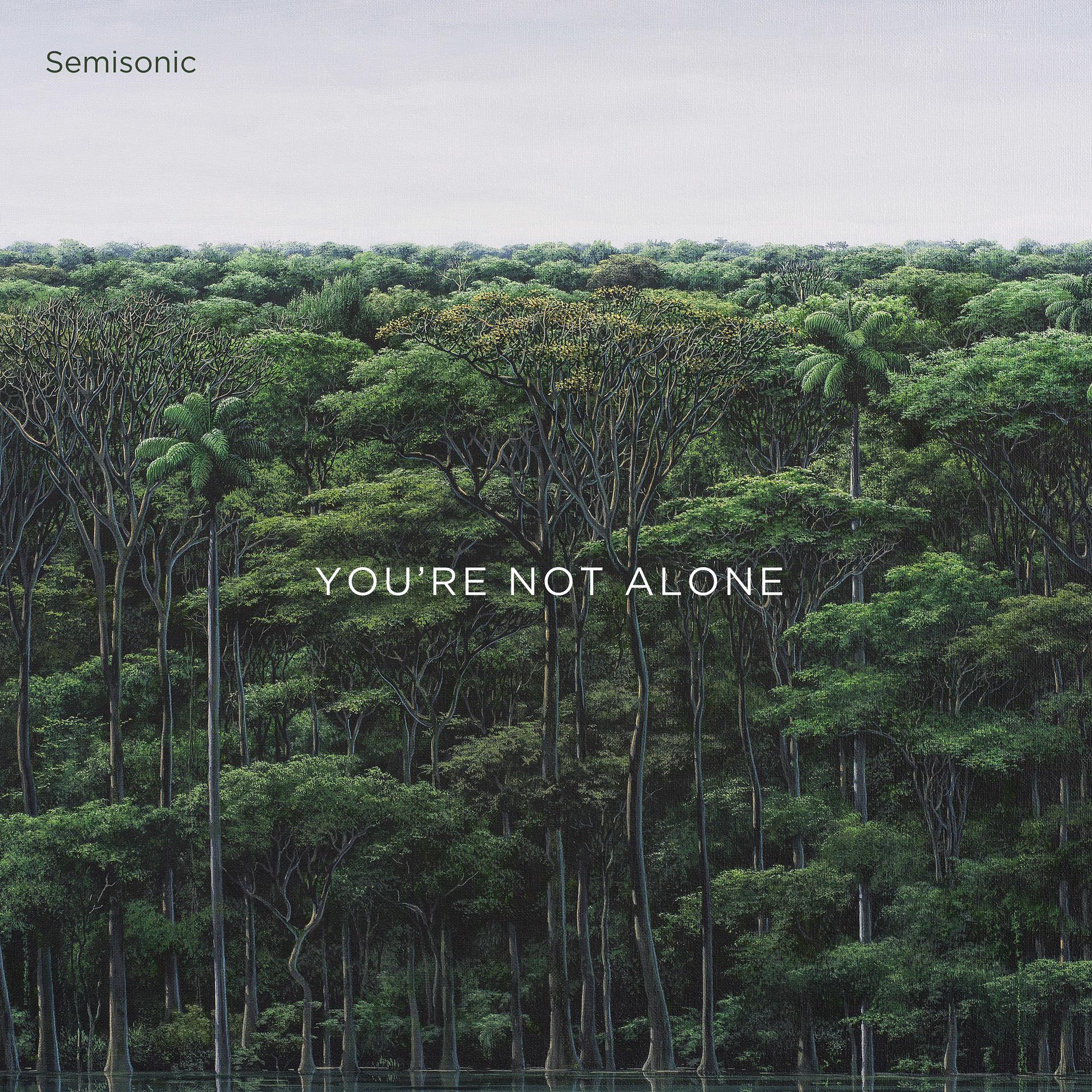 Постер альбома You're Not Alone