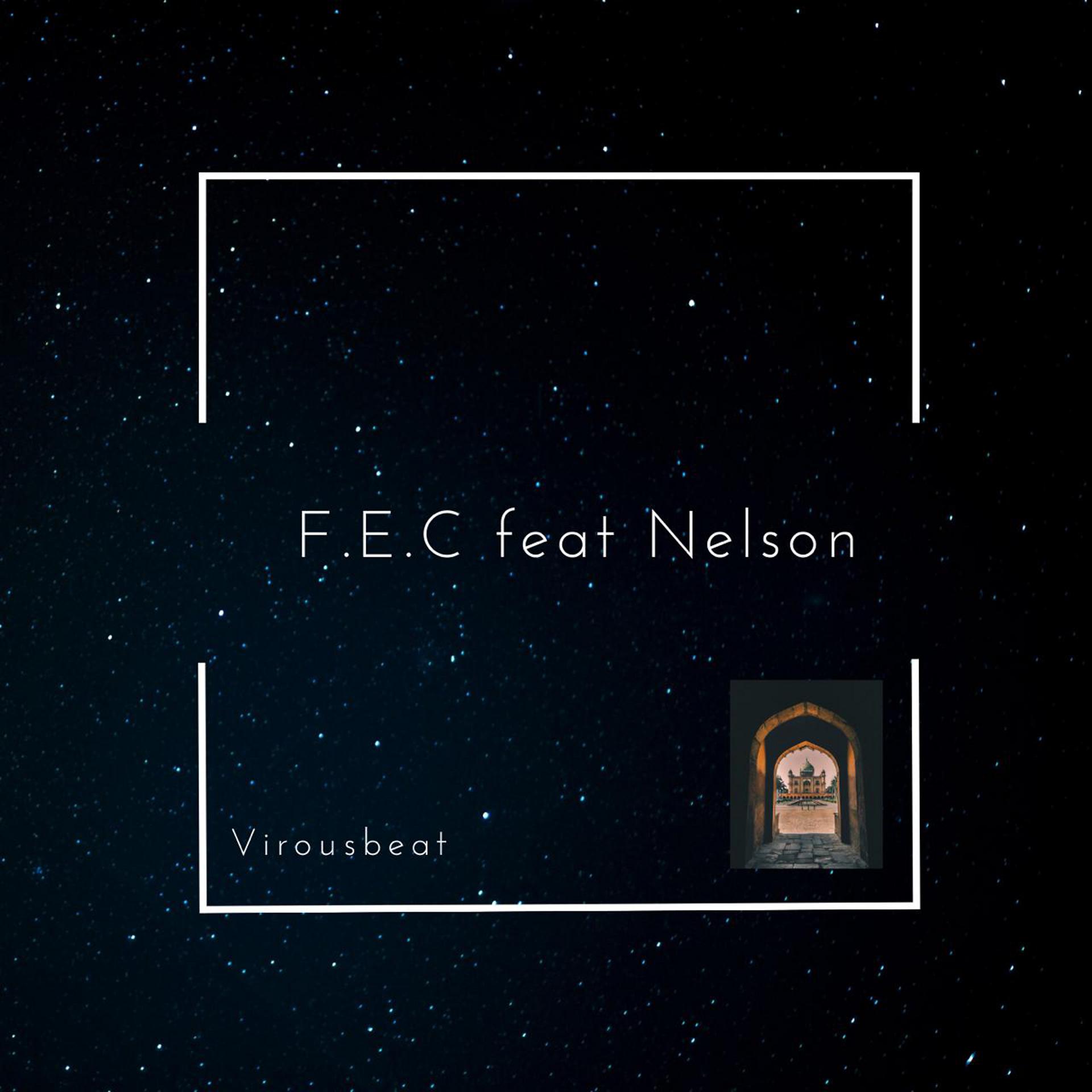 Постер альбома F.E.C