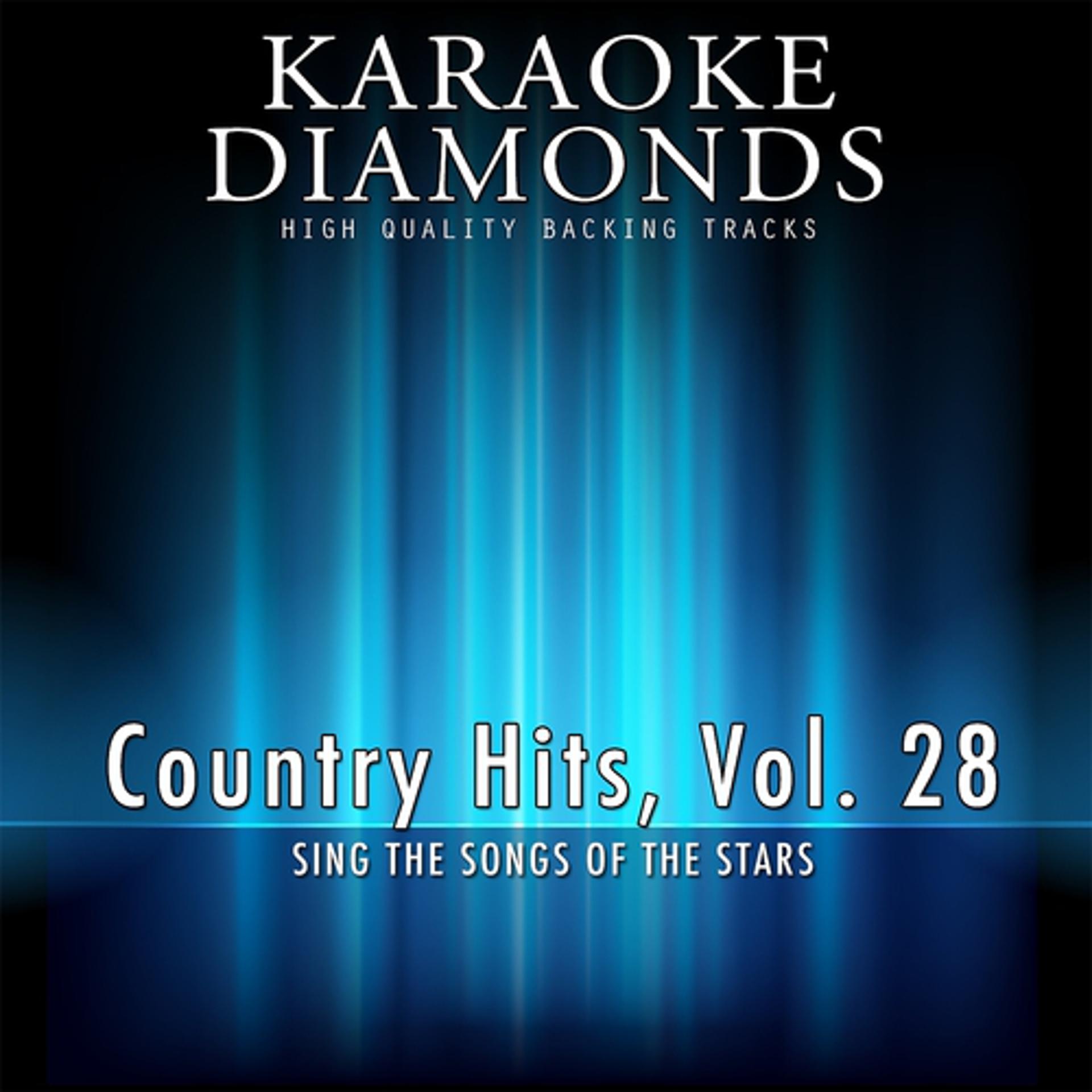 Постер альбома The Best for Country Musicians, Vol. 28 (Karaoke Version)