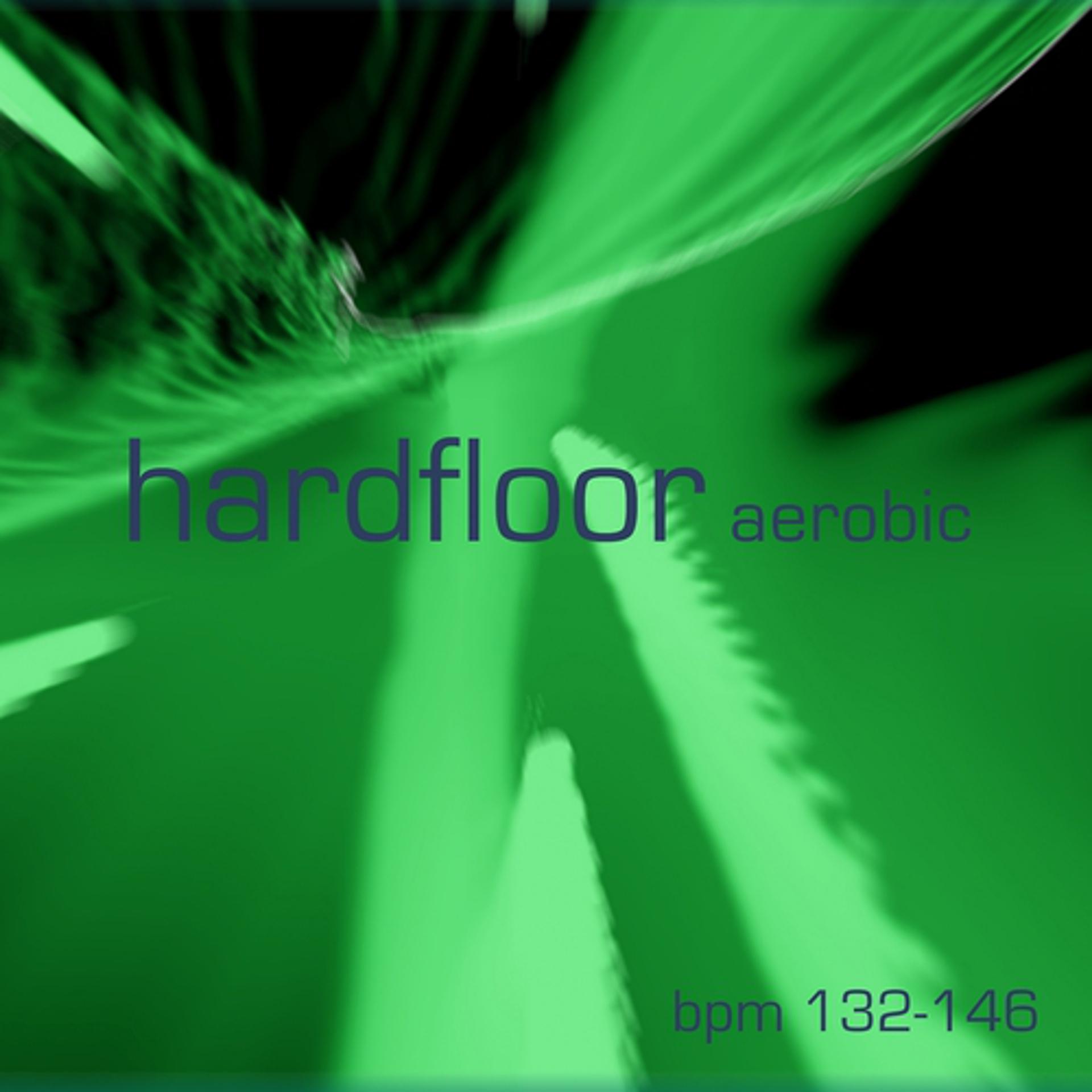 Постер альбома Hardfloor Aerobic