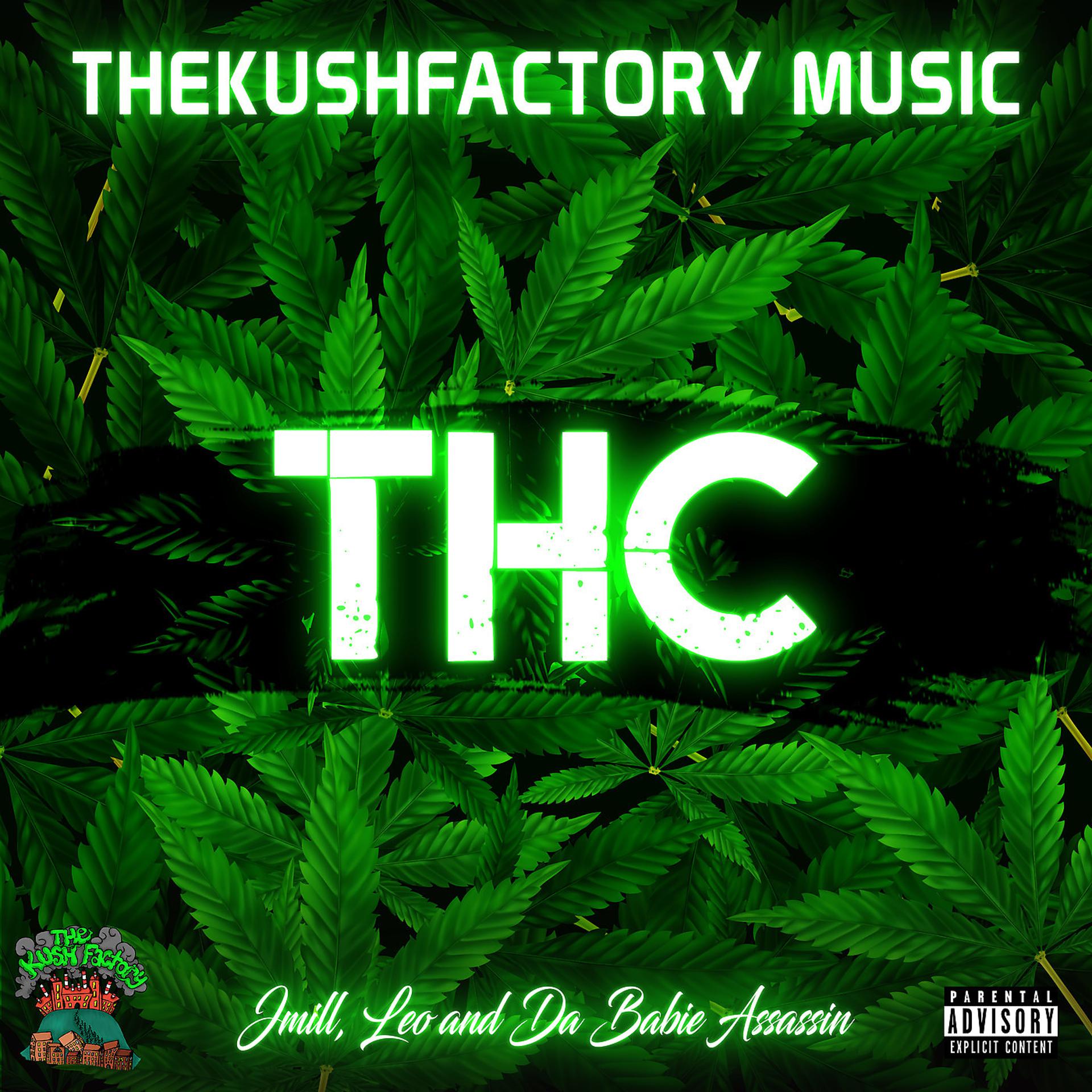 Постер альбома Thc ThekushFactory Music