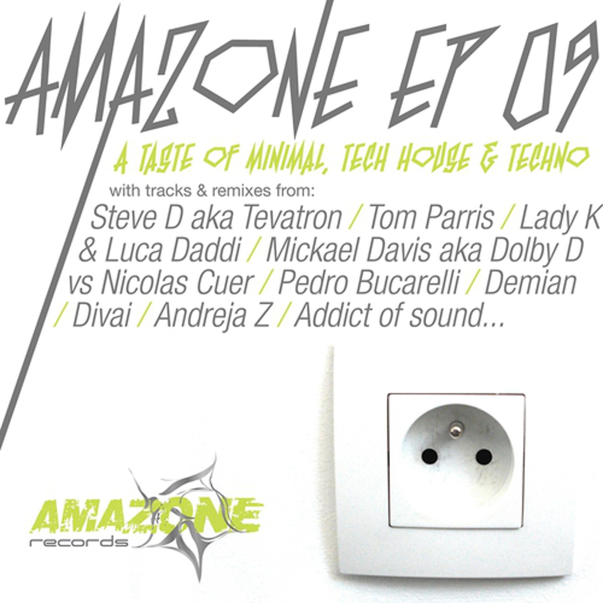 Постер альбома Amazone 09 - A Taste of Minimal, Tech House & Techno Compilation