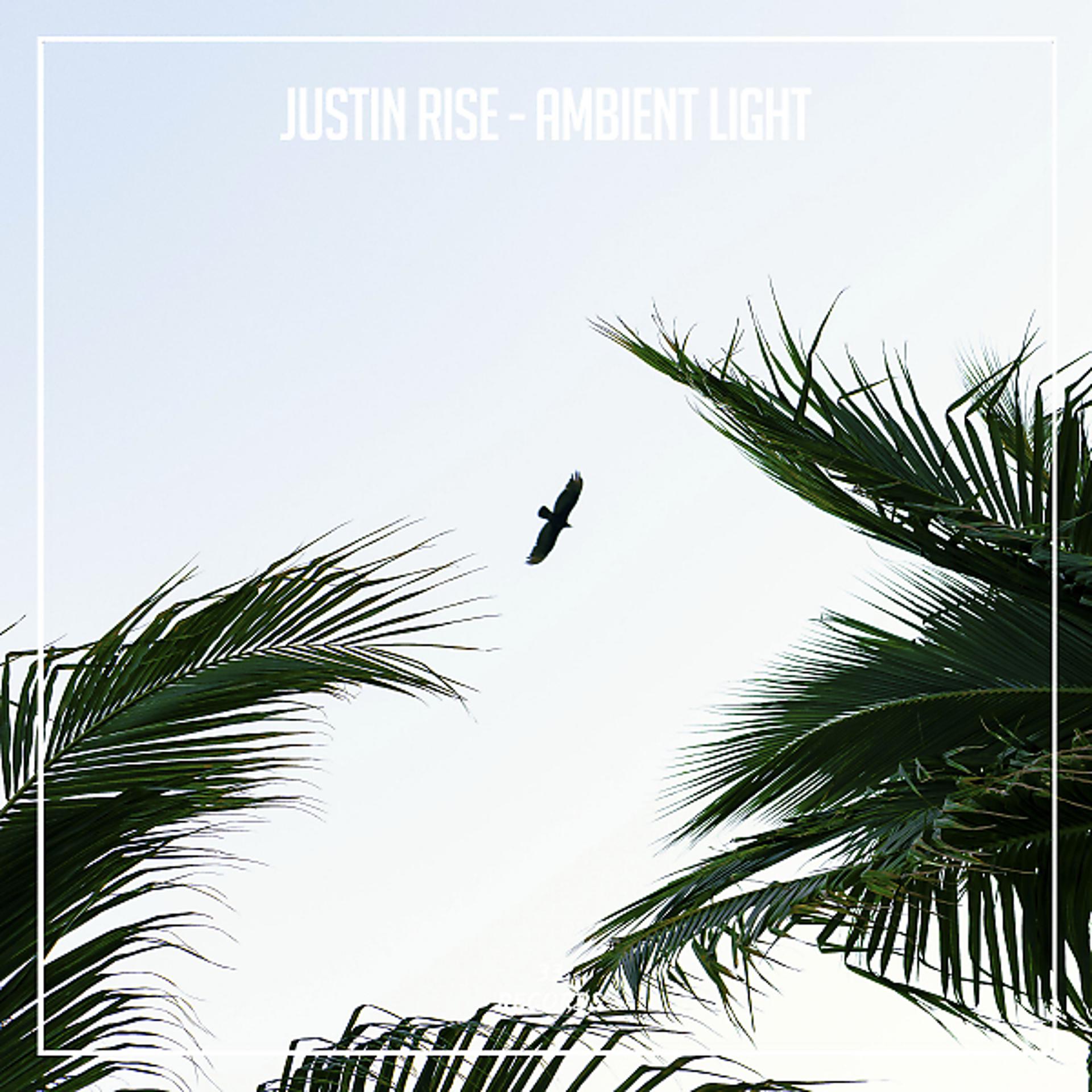 Постер альбома Ambient Light