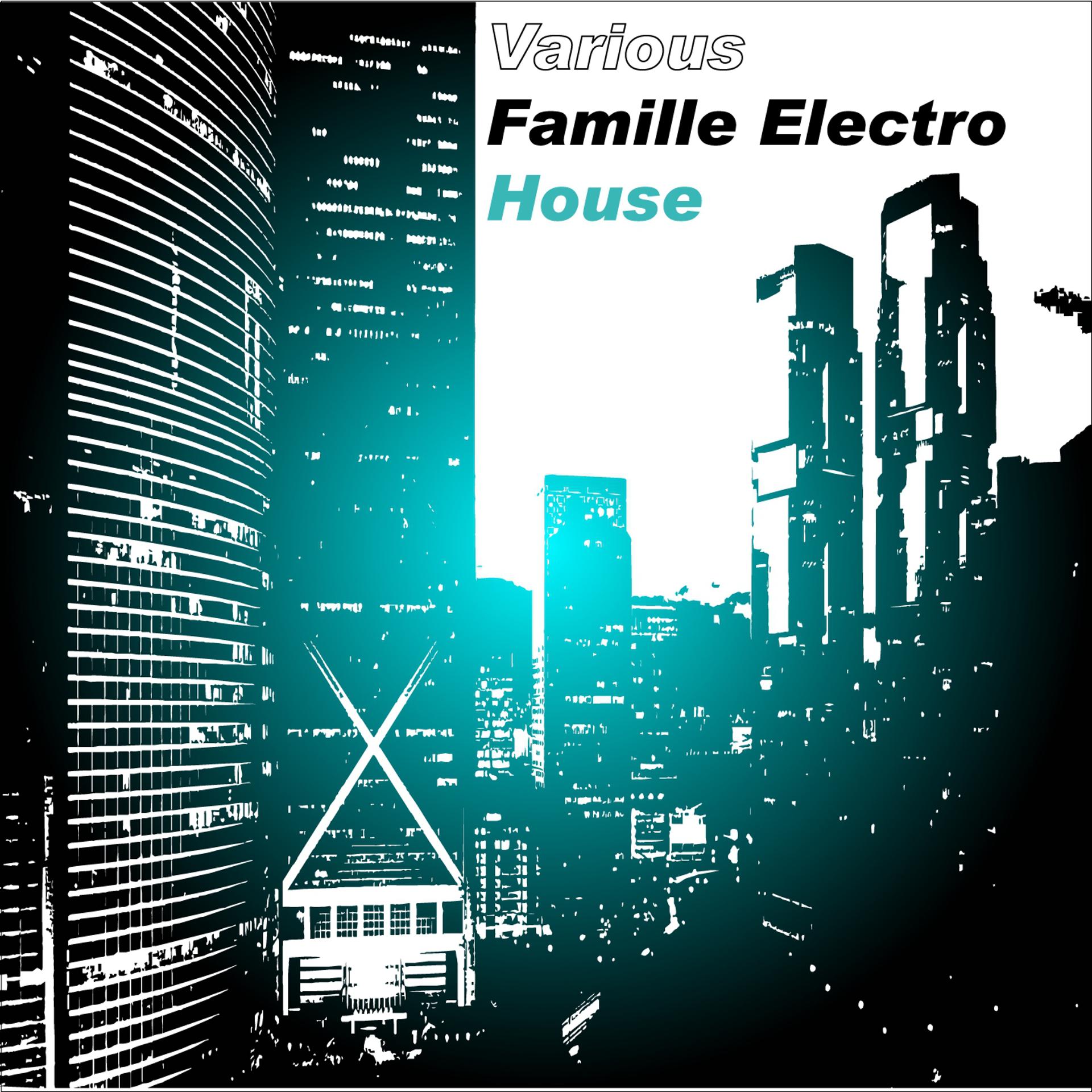 Постер альбома Various artists house