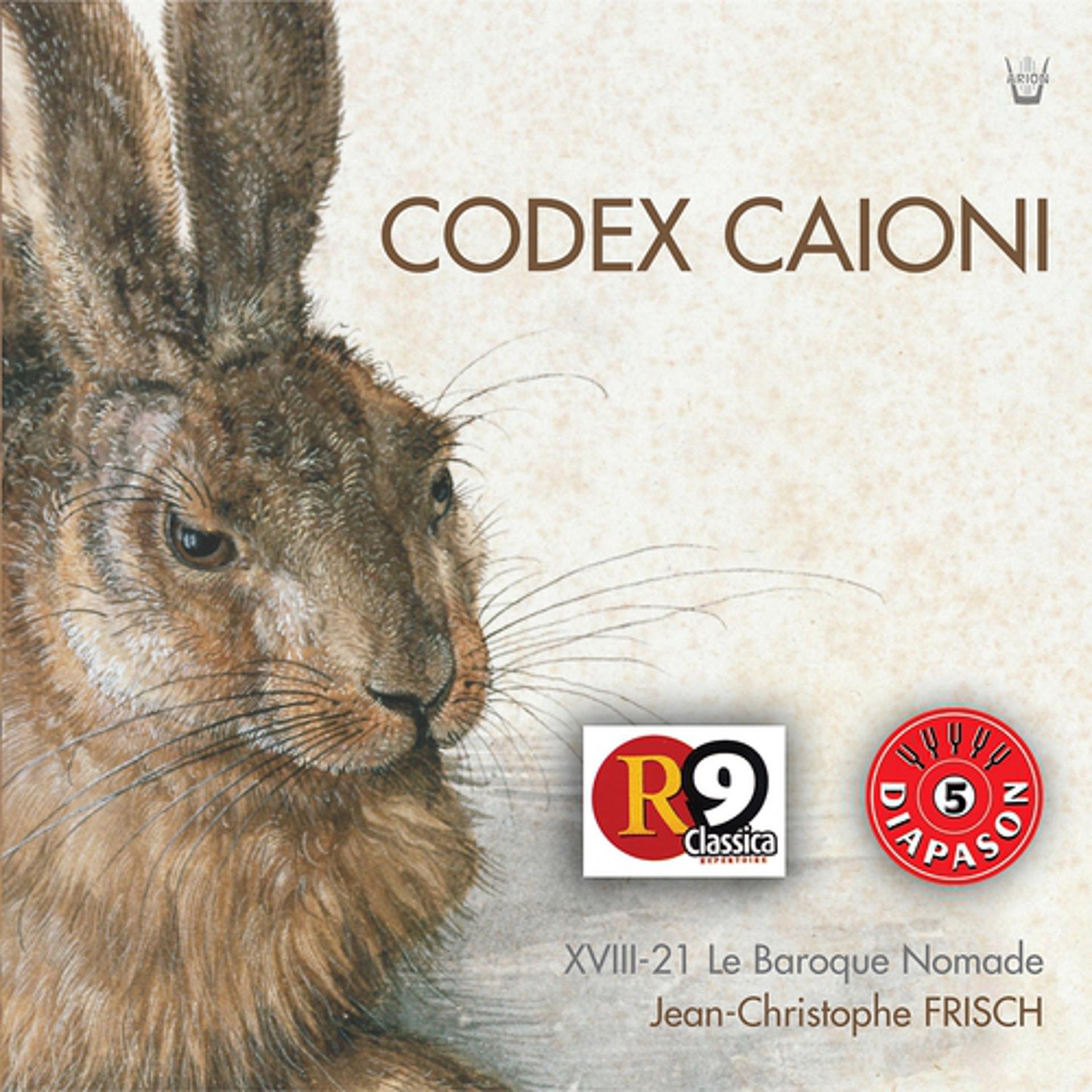 Постер альбома Codex Caioni : Un jour de noce en Transylvanie
