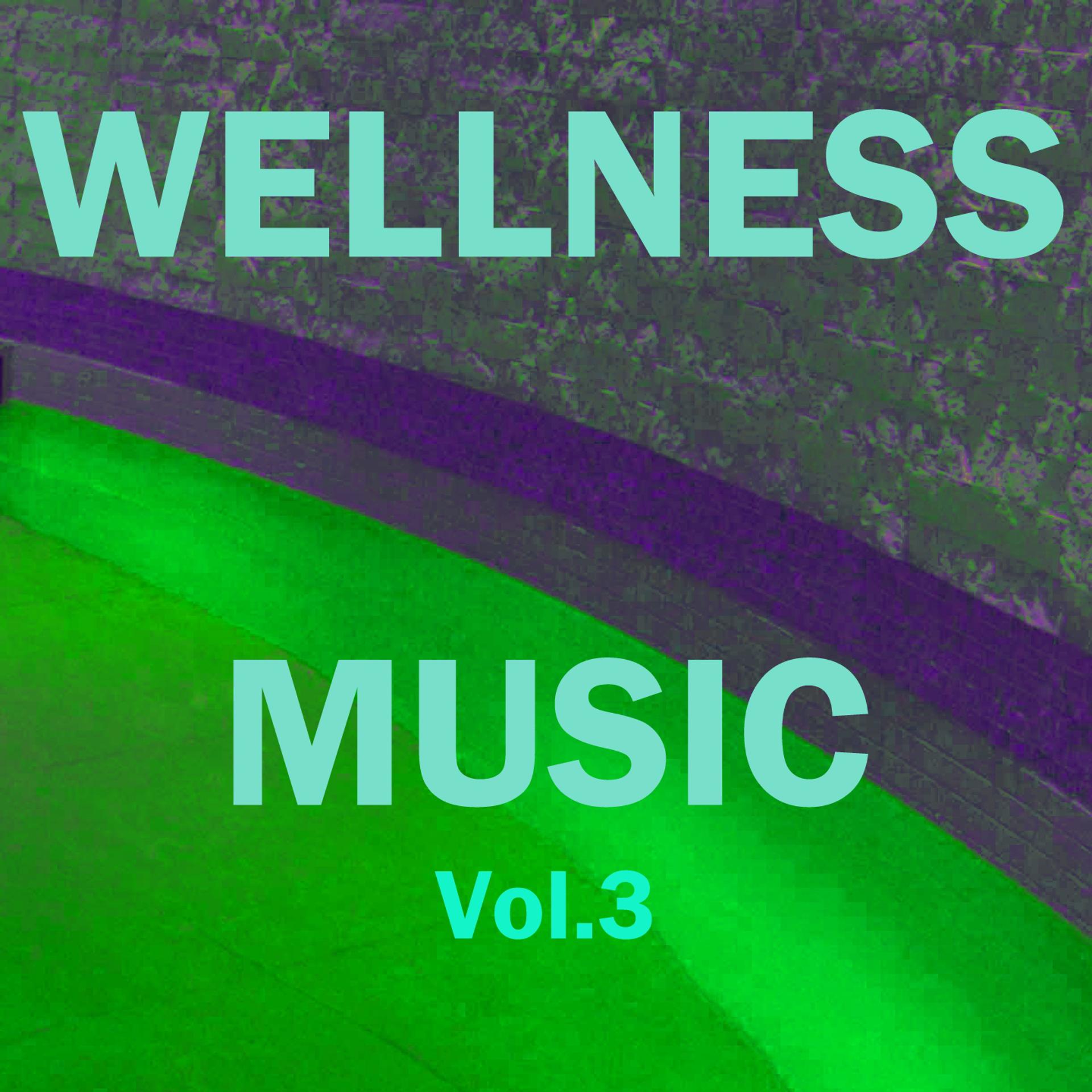 Постер альбома Wellness Music, Vol. 3